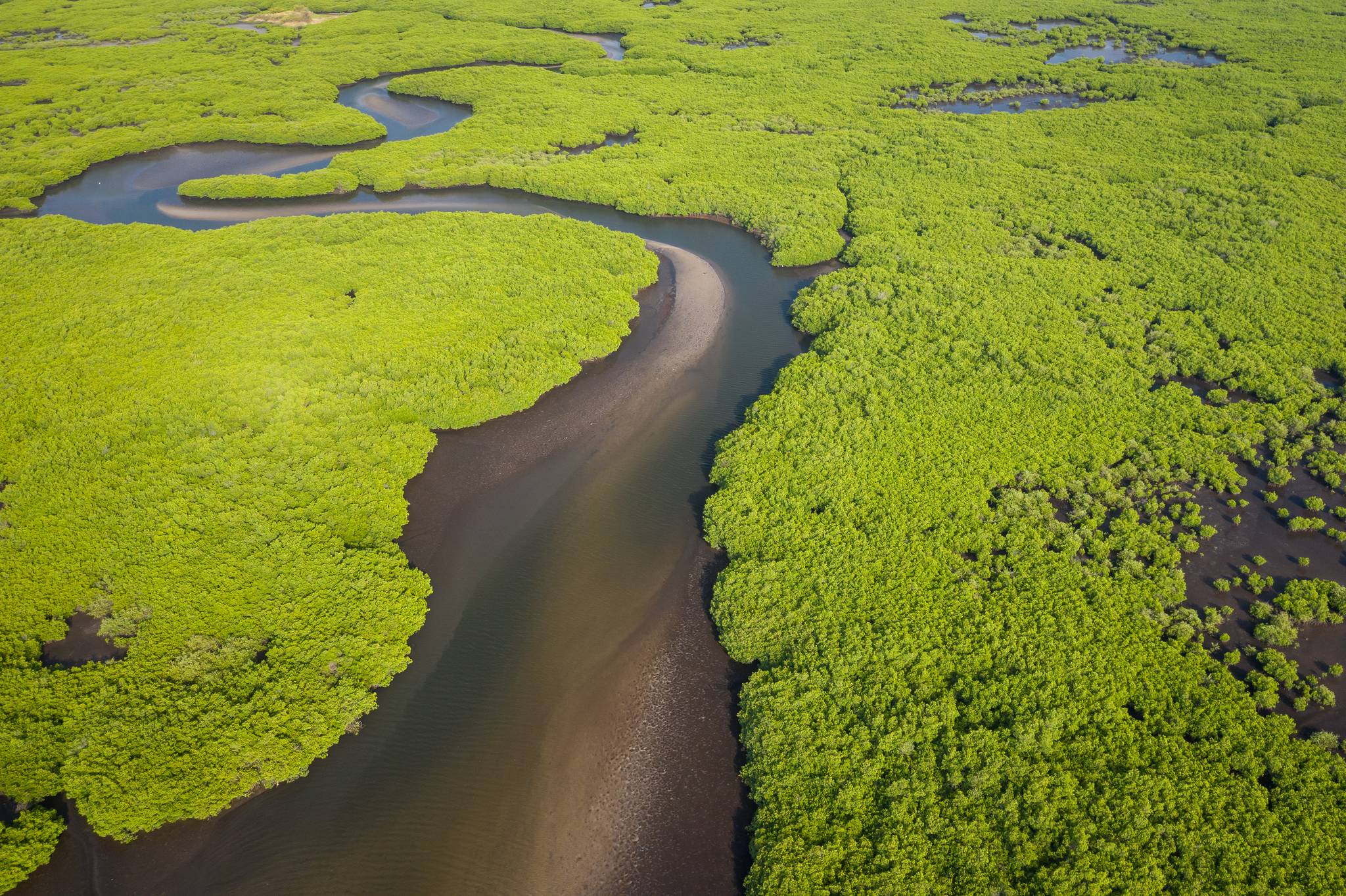 sine saloum