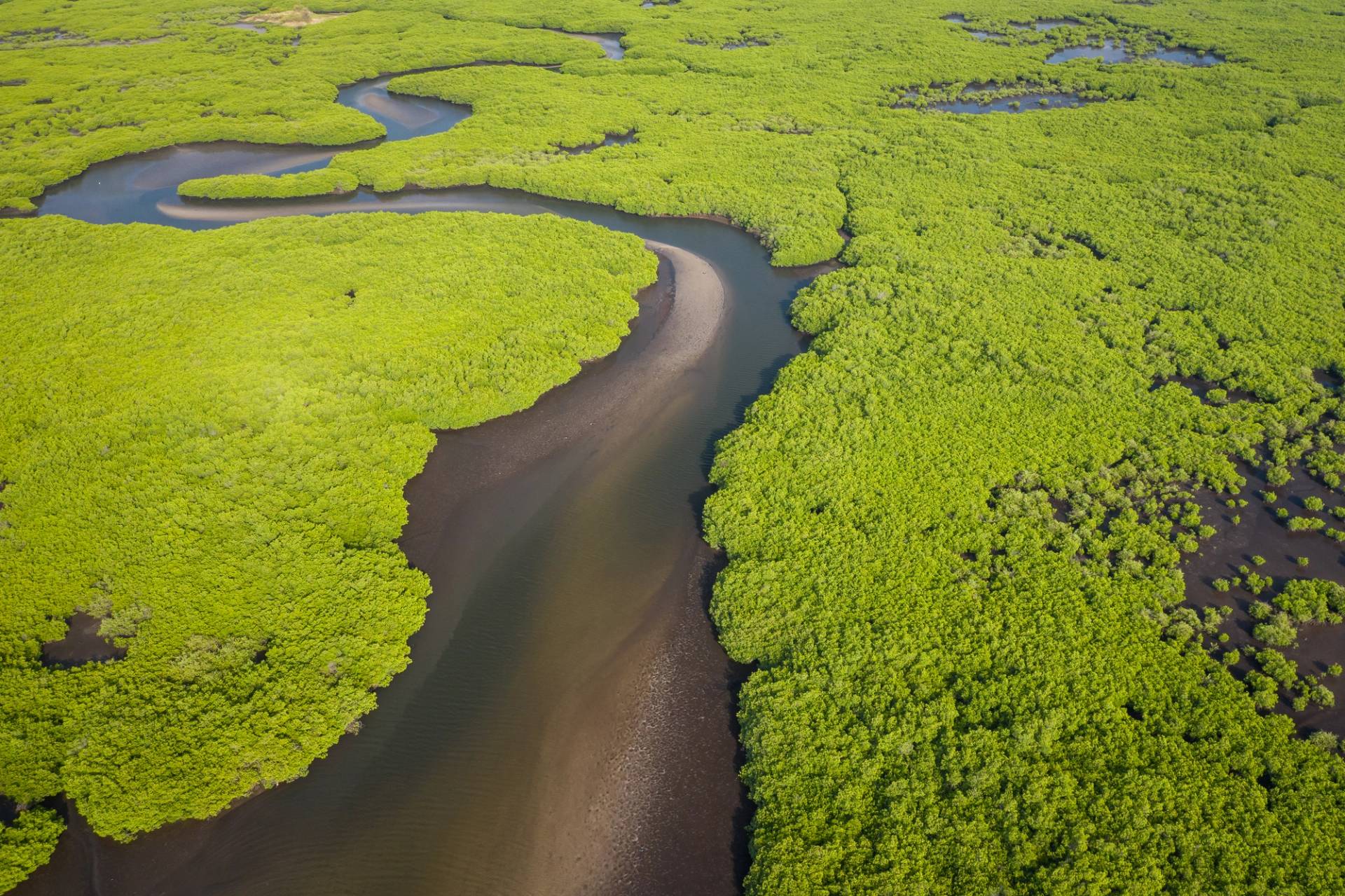 sine saloum 