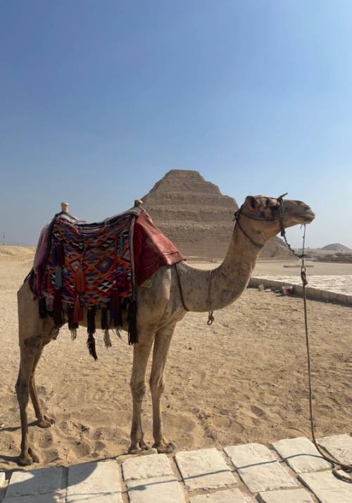 cairo