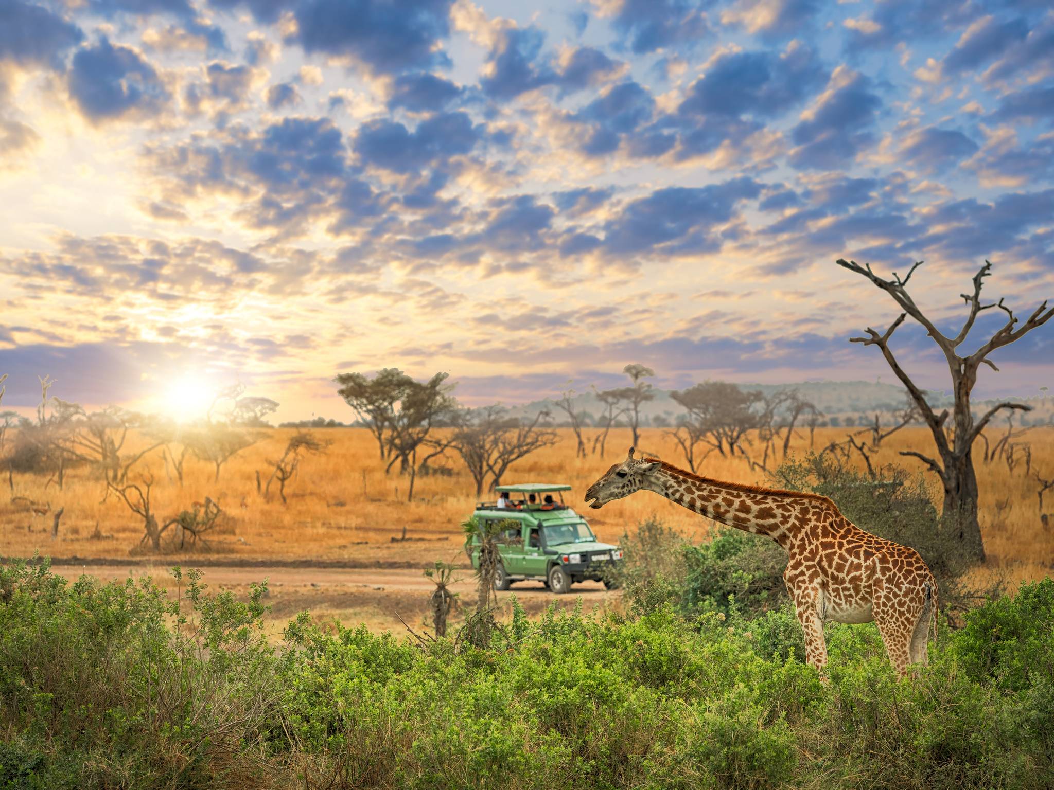 Tanzania explorer e Zanzibar cover