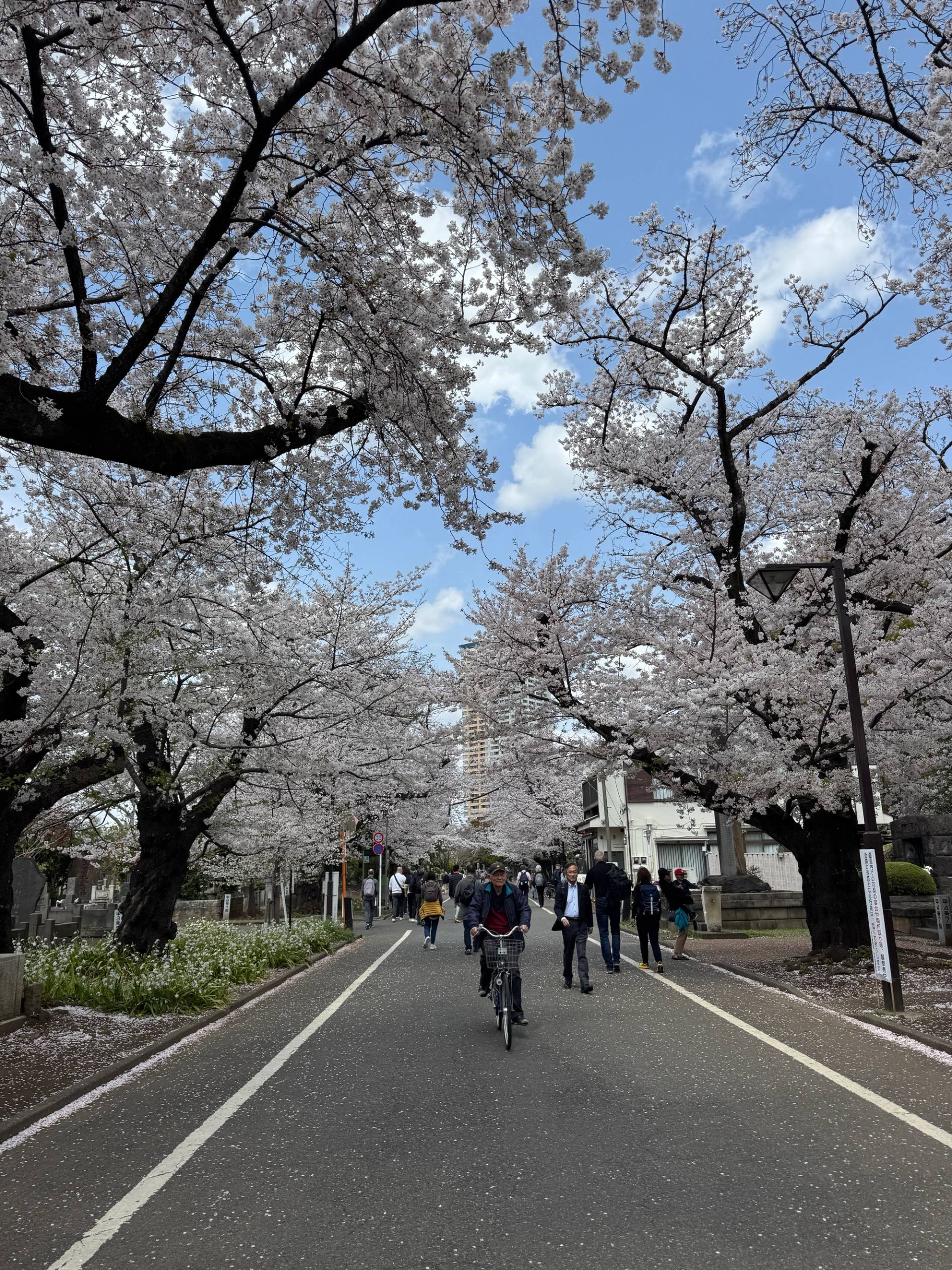 kyoto