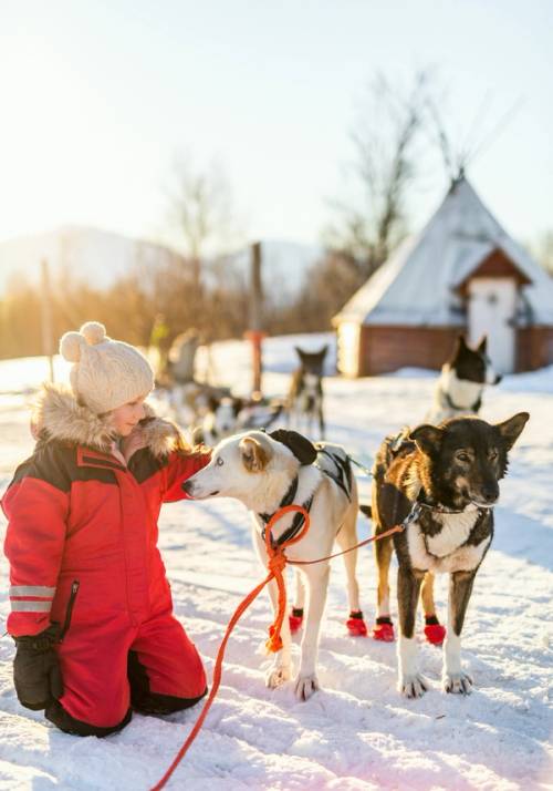 escursione in slitta con husky tromso norvegia