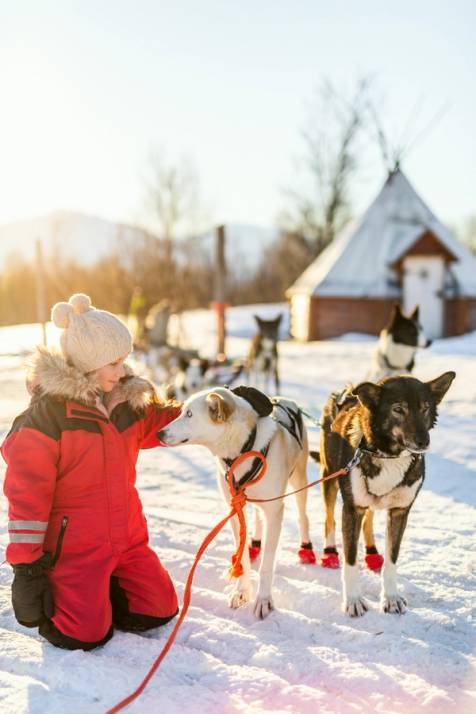 escursione in slitta con husky tromso norvegia
