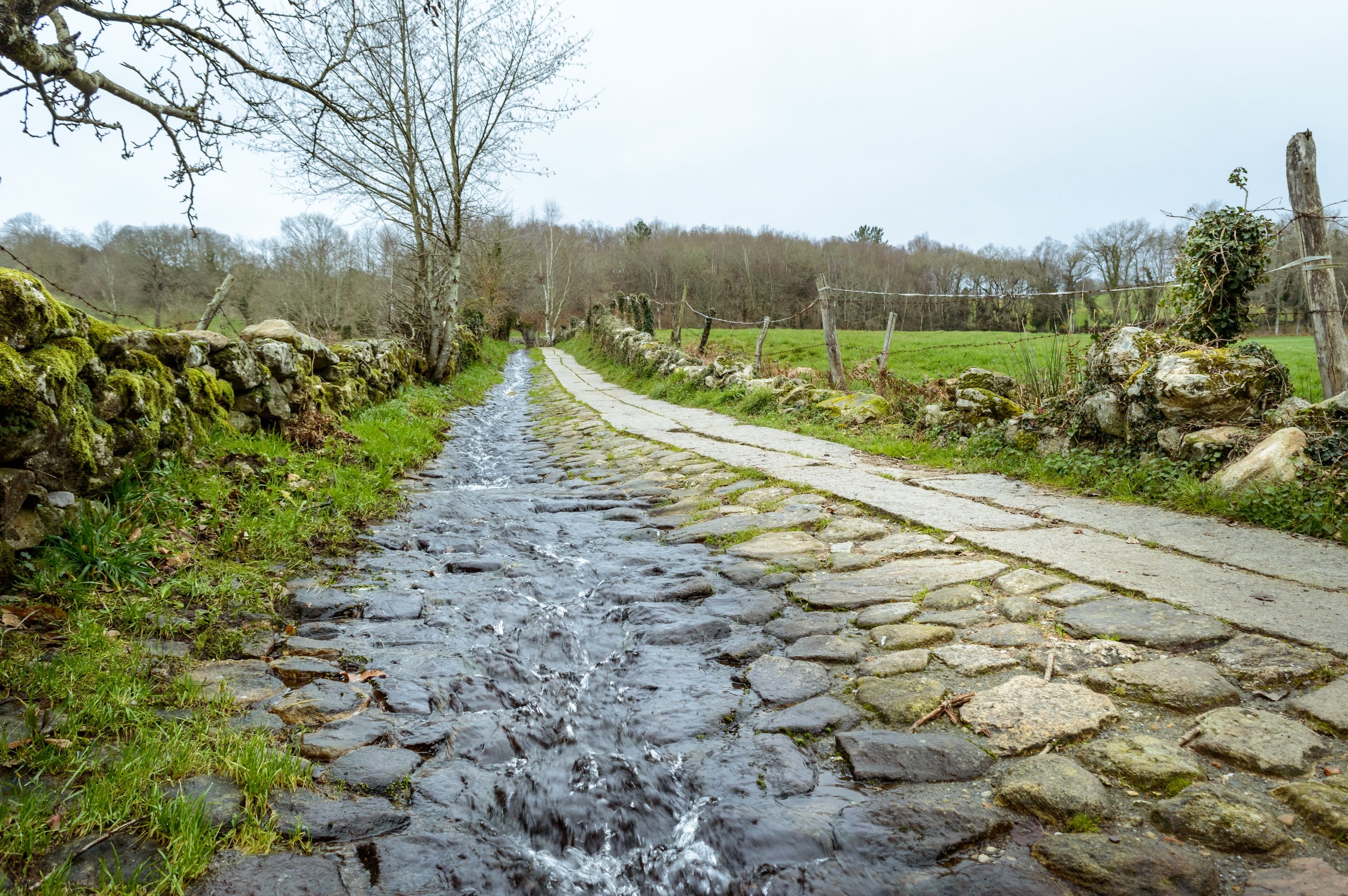 cammino di santiago in bicicletta vale