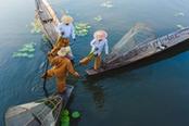 pescatori su una gamba lago inle