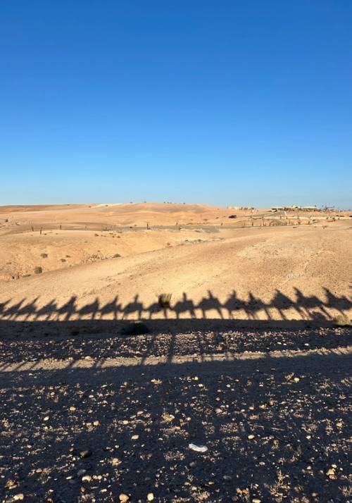 desertro di agafay
