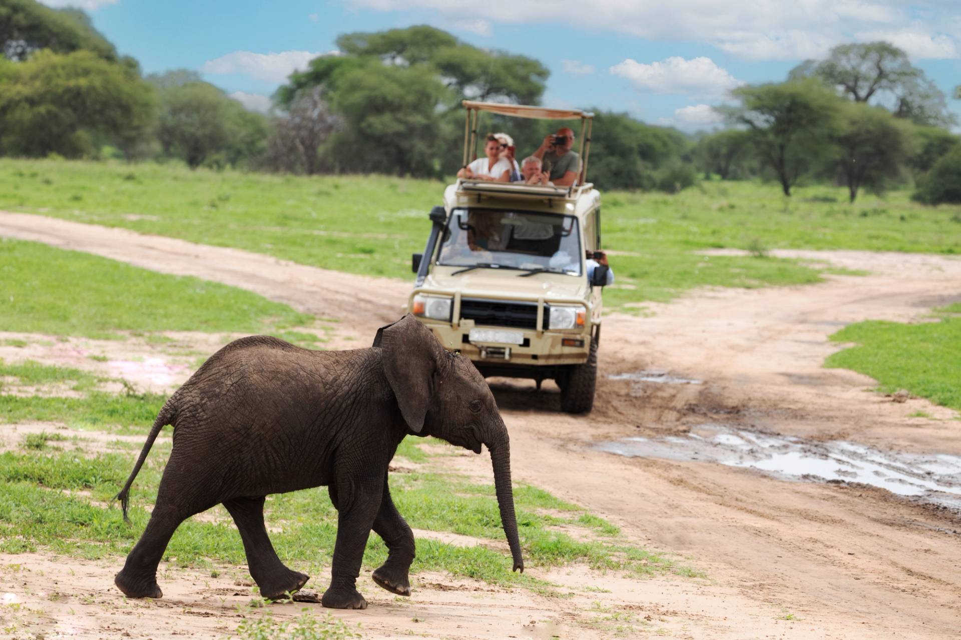 tarangire