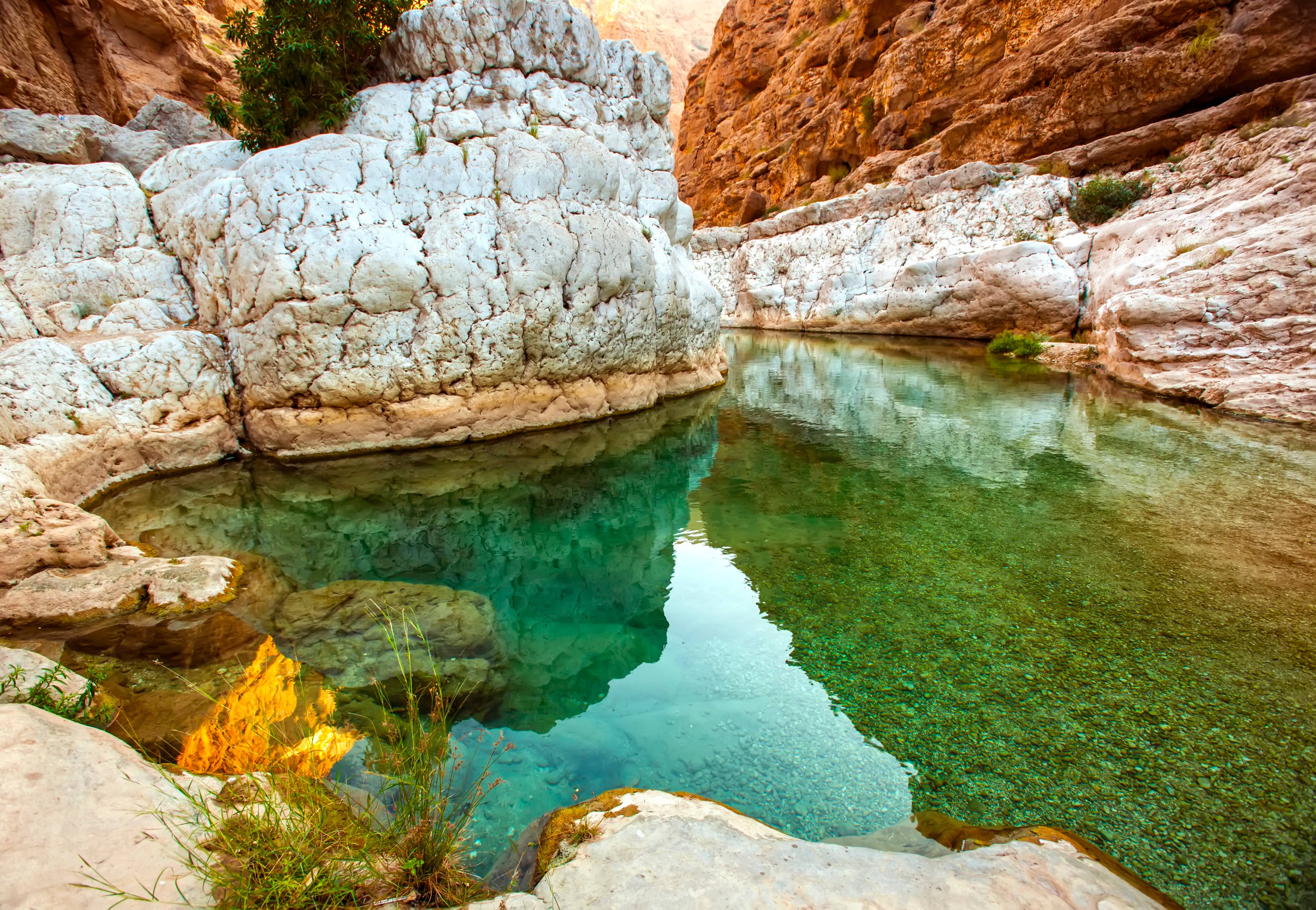 wadi tiwi
