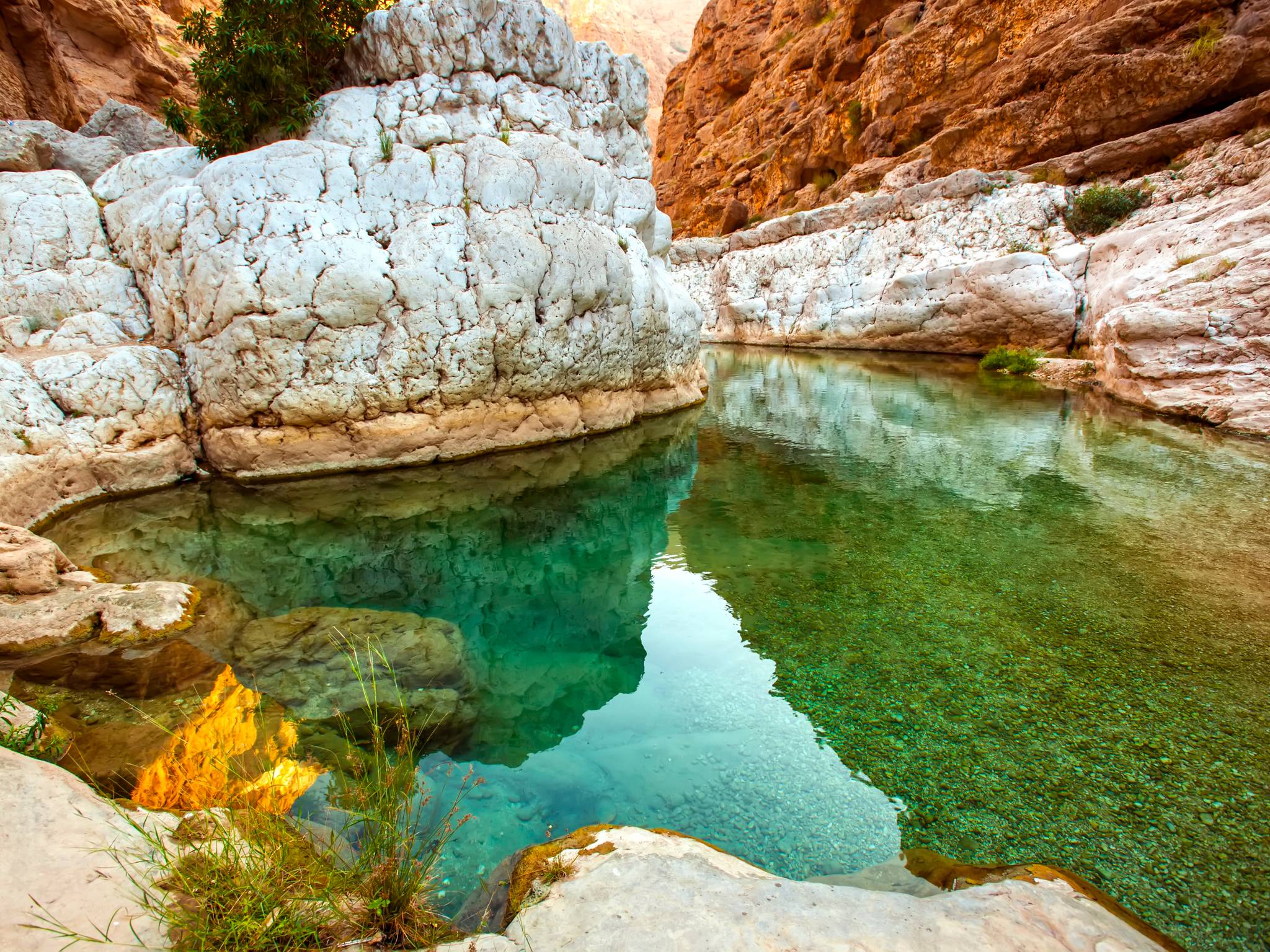 Viaggio in Oman in 8 giorni cover
