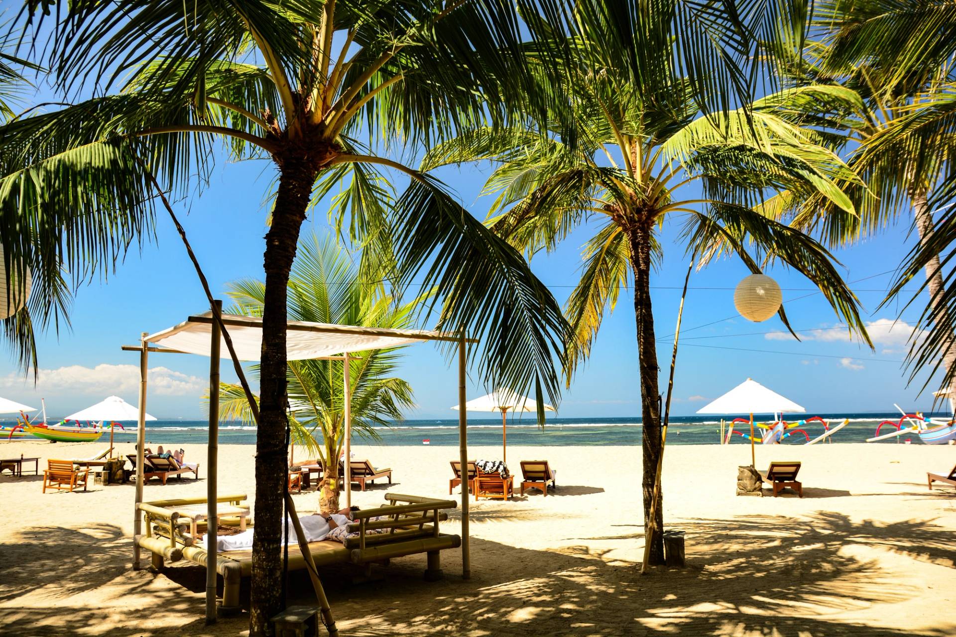 beach with palm trees