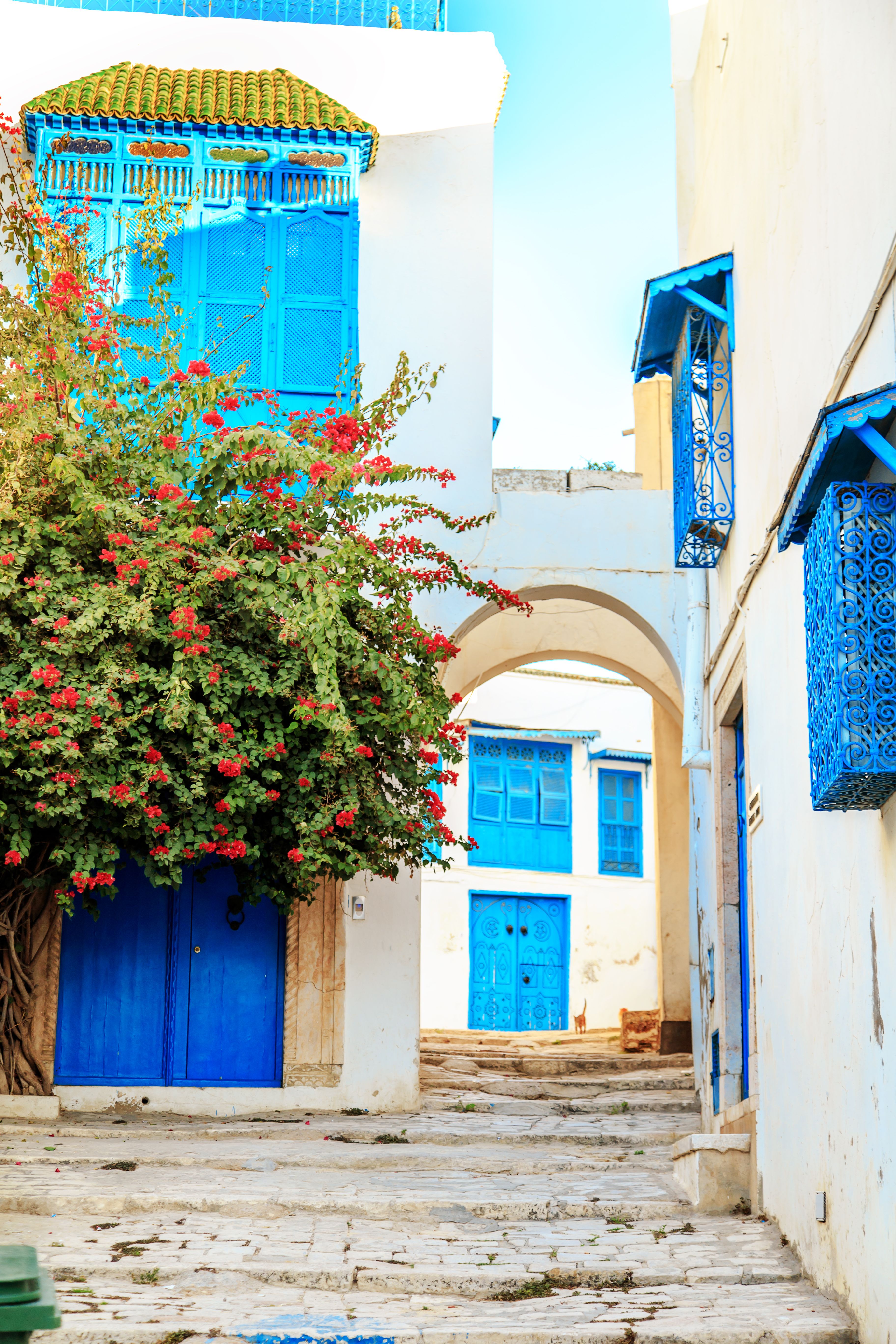 houses with blue details