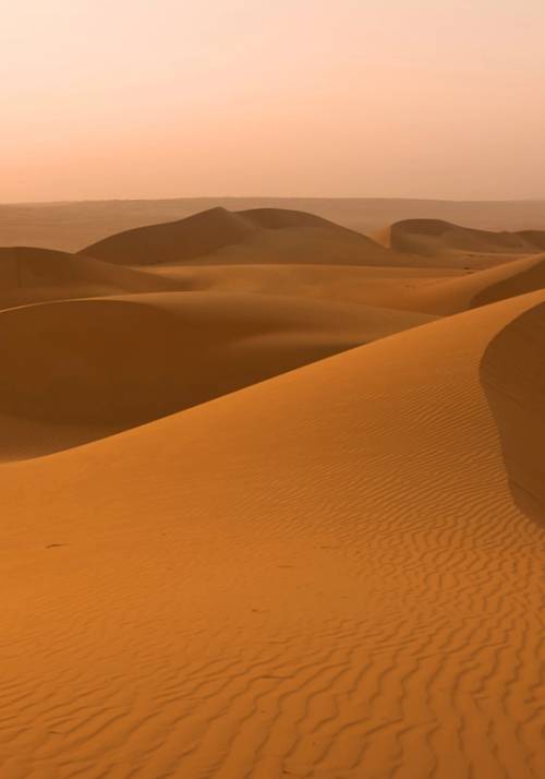 Dune nel deserto al tramonto in Oman