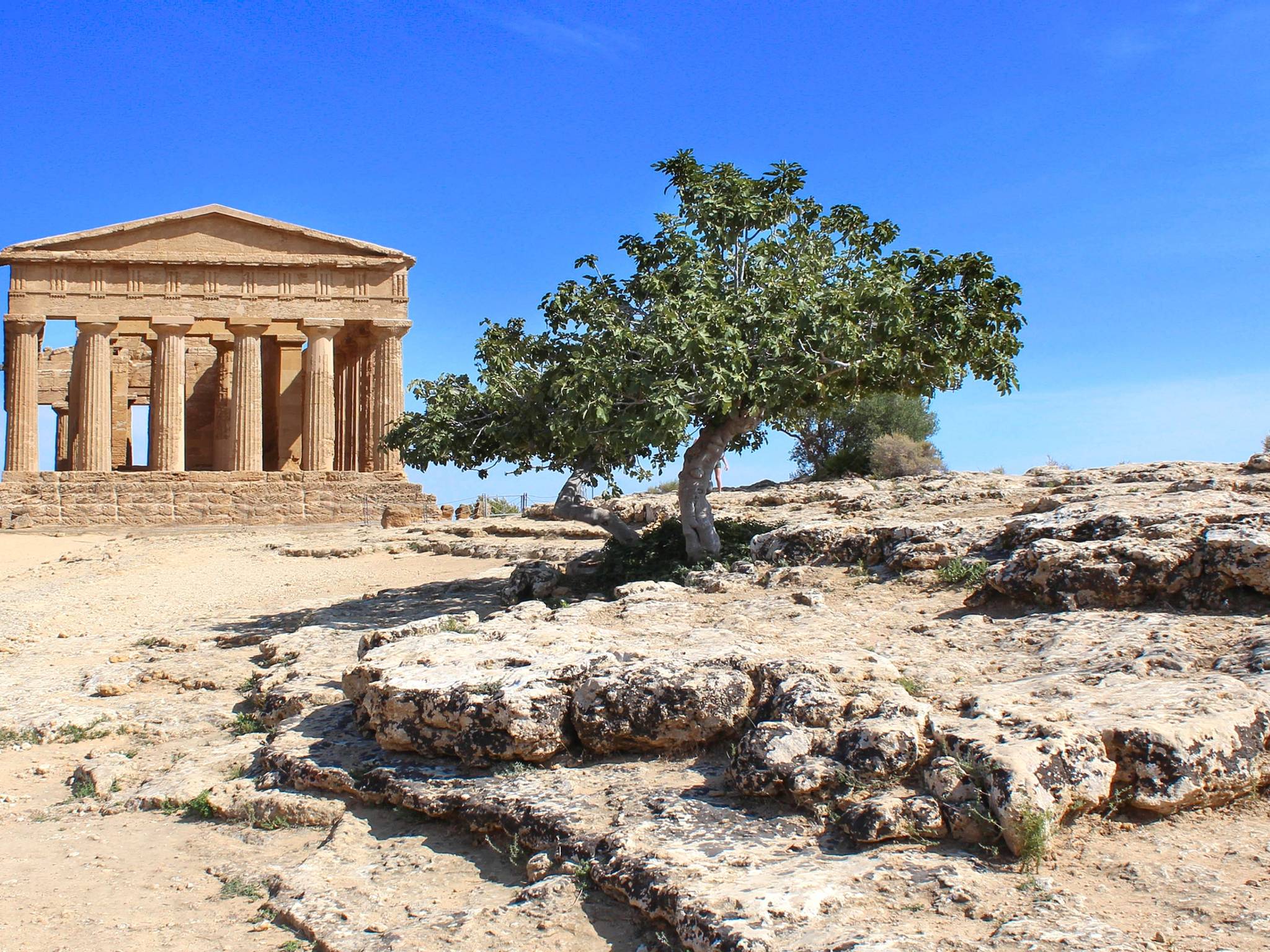 Speciale Capodanno: Tour in Sicilia cover