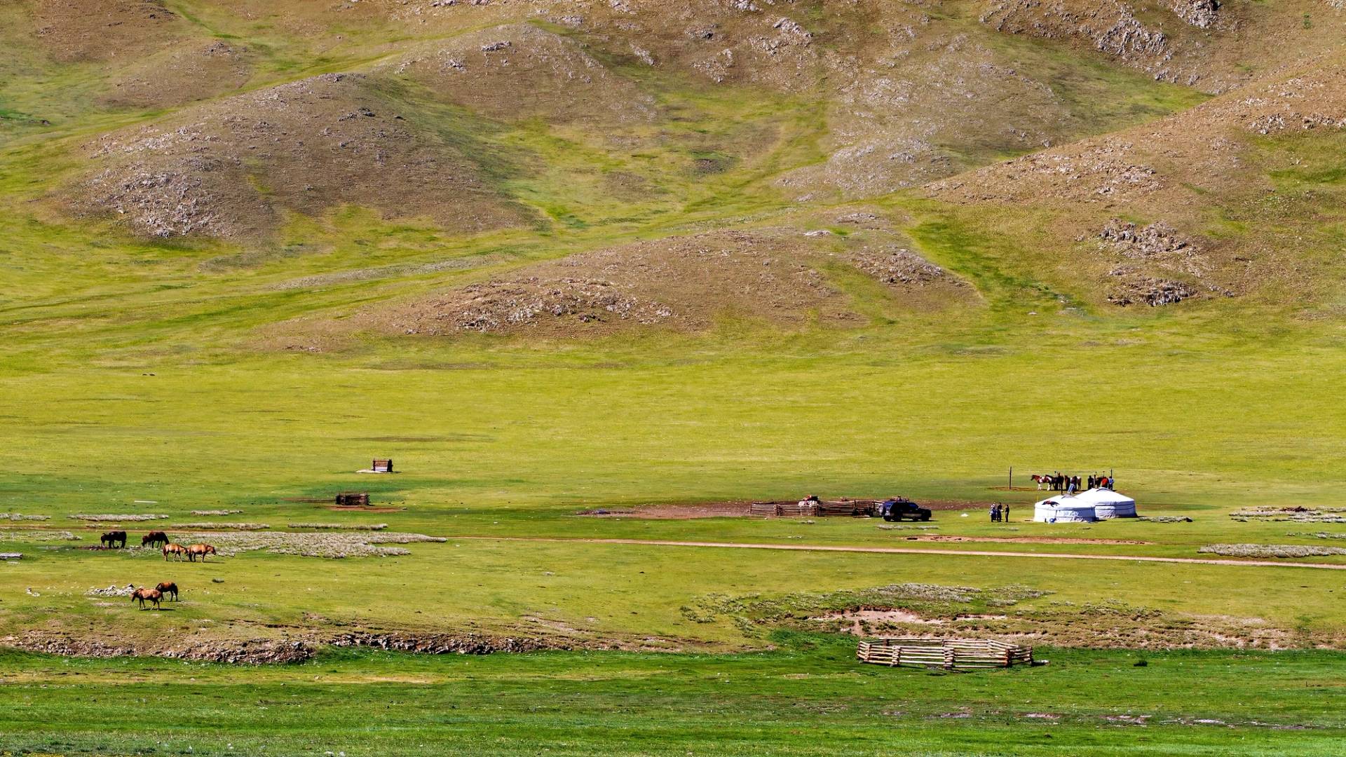 mongolia