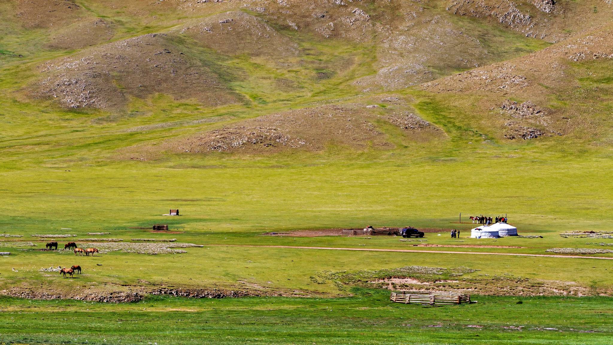mongolia