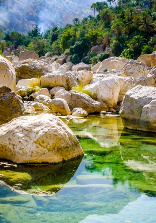 wadi tiwi