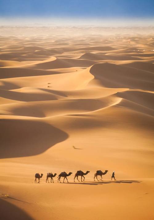 sahara