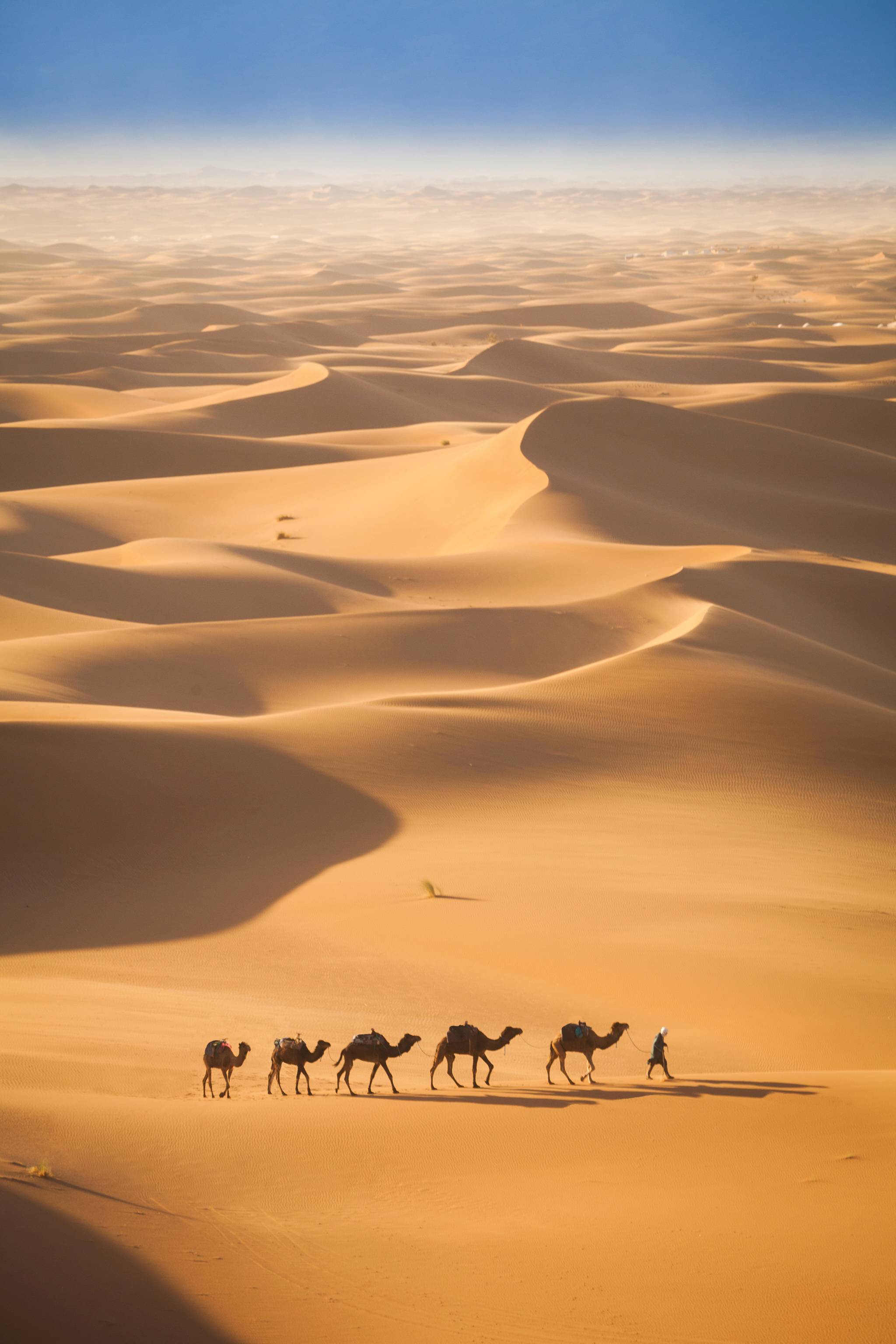 sahara marocco