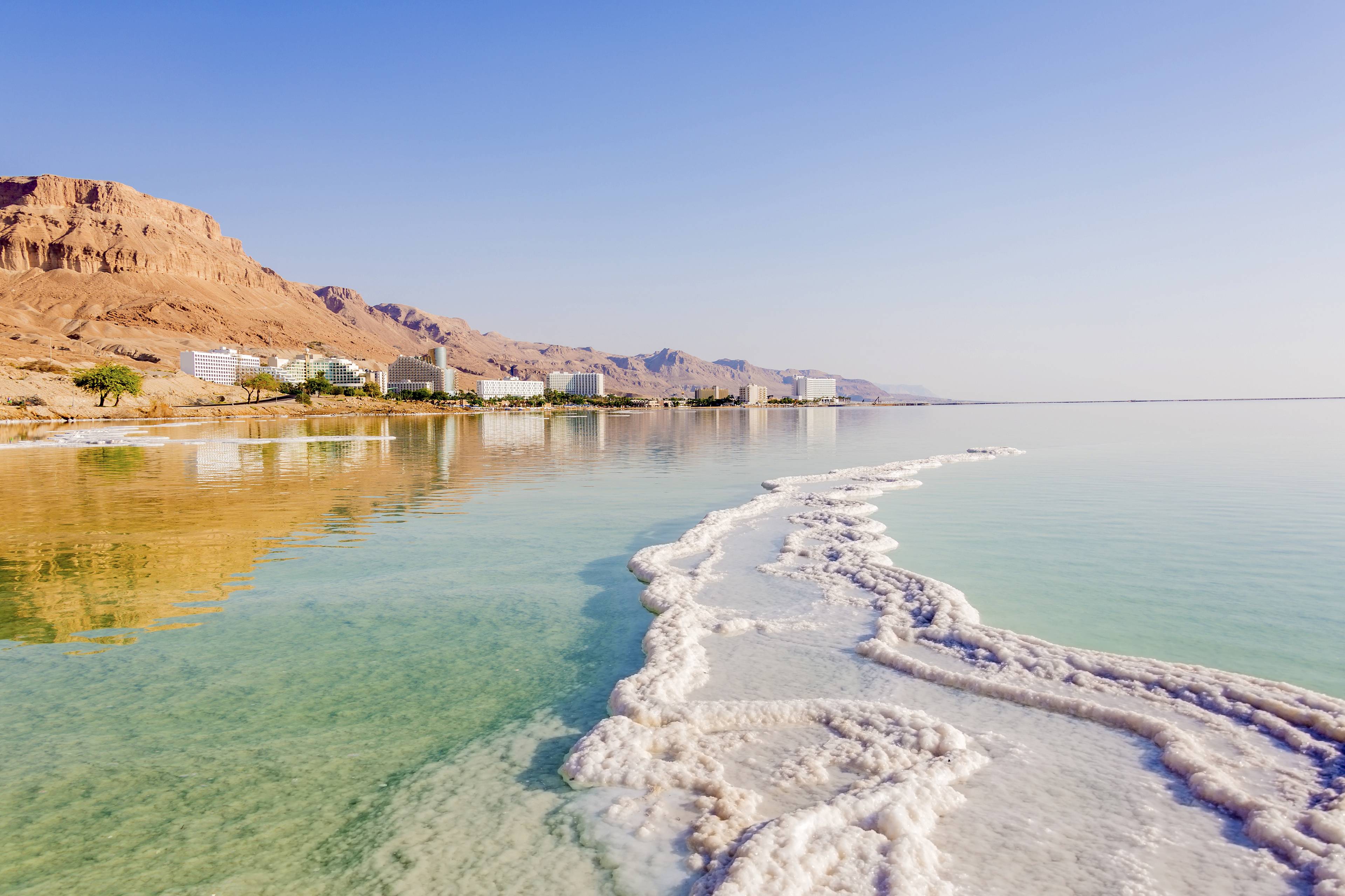 Galleggiando nel Mar Morto cover