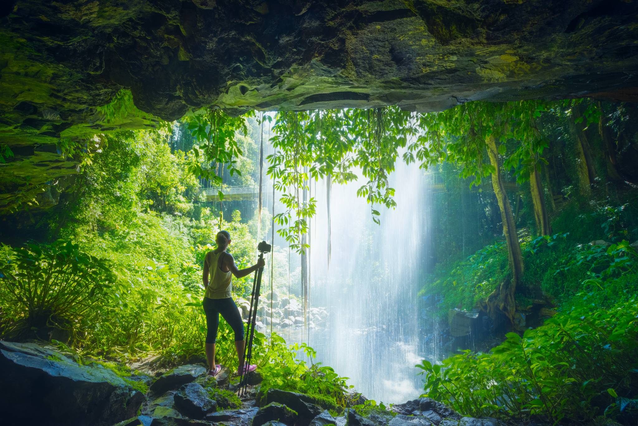 donna nel parco nazionale dorrigo