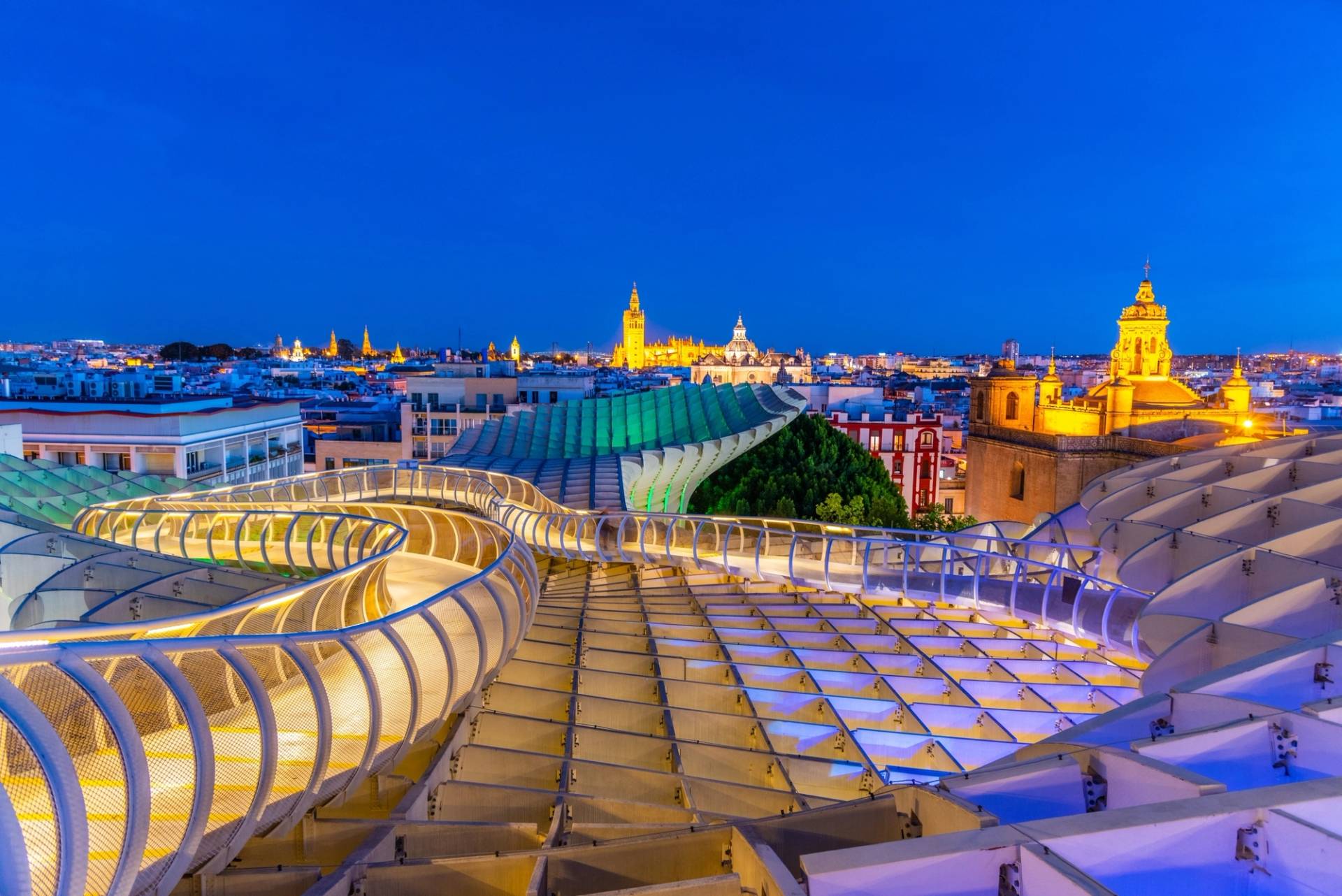 illuminated mushrooms of Seville