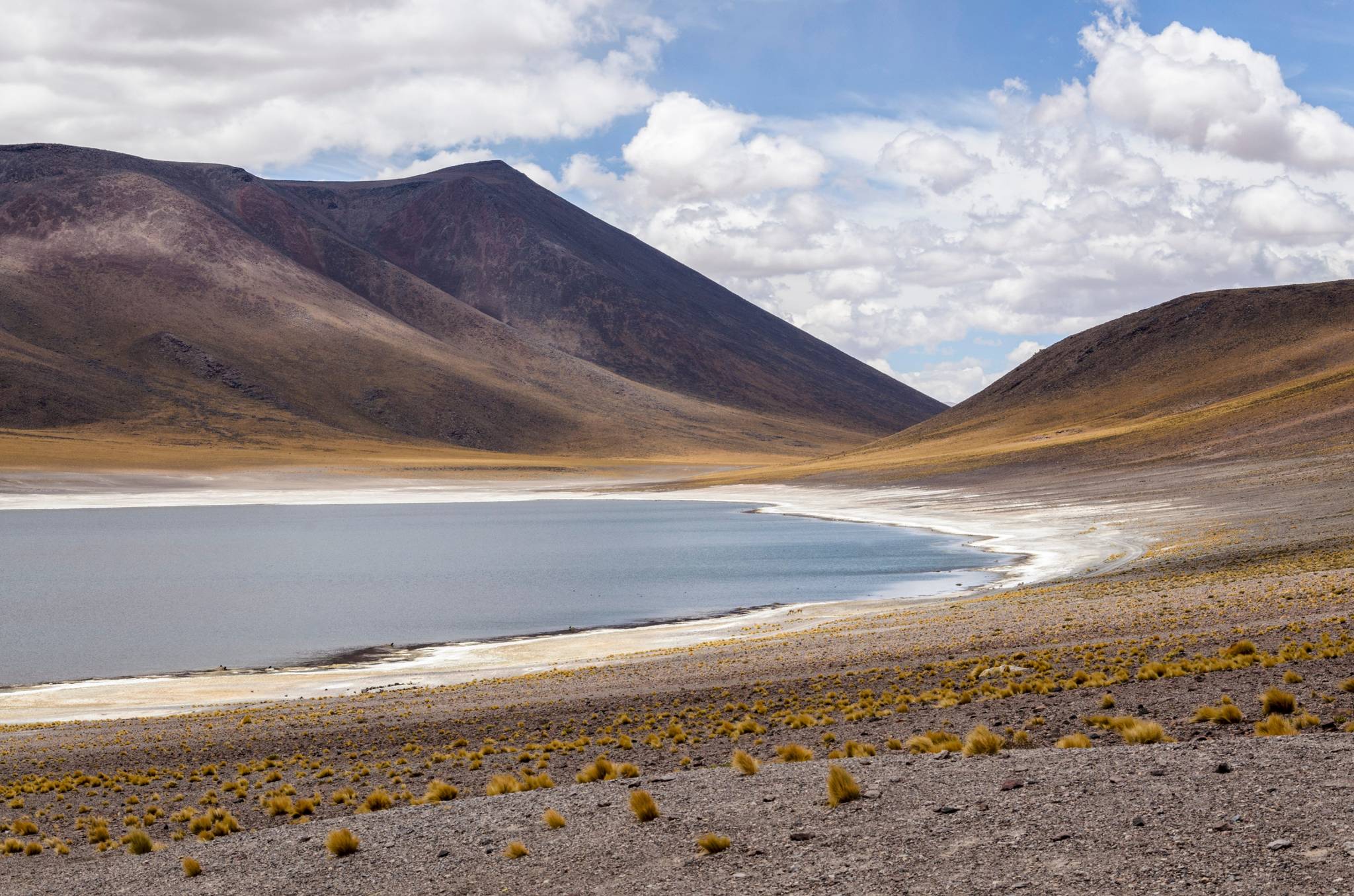 lagune miniques y miscanti