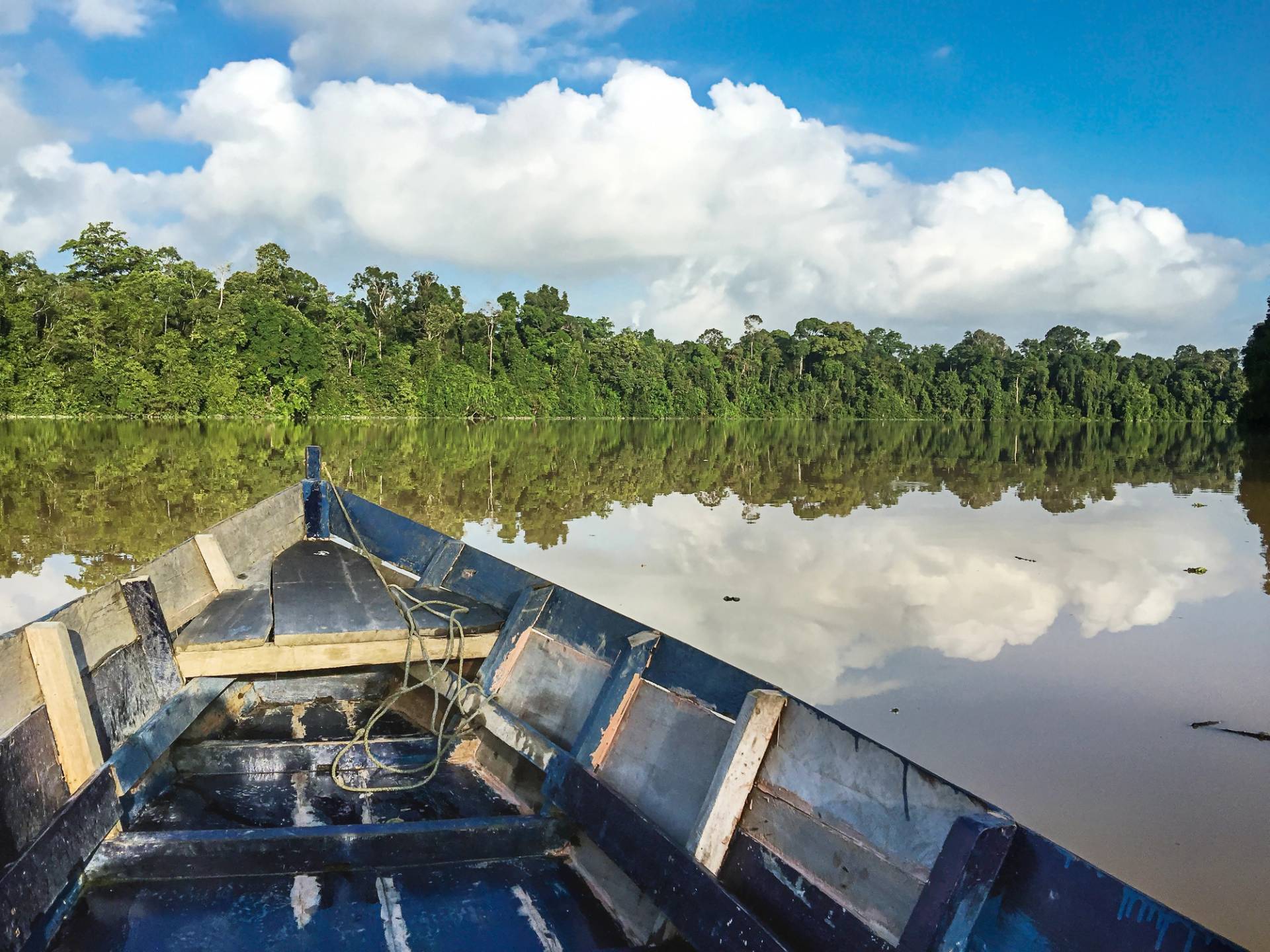 boat on the Kinabatangan river