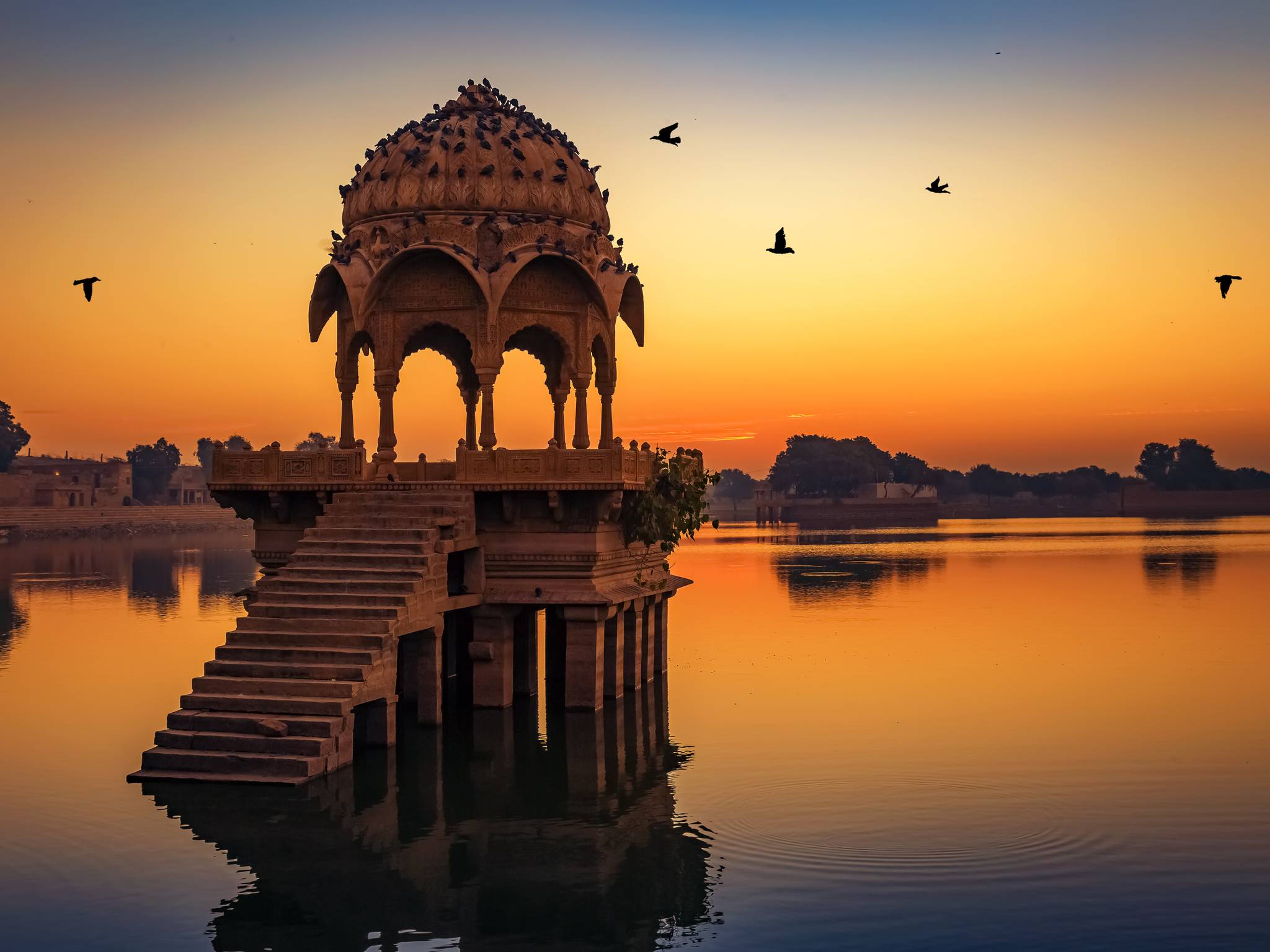 India d'autore cover