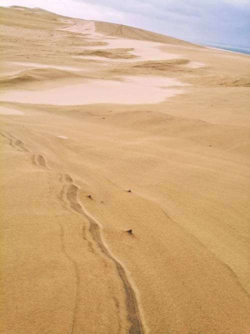 il deserto della francia, la duna di pyla