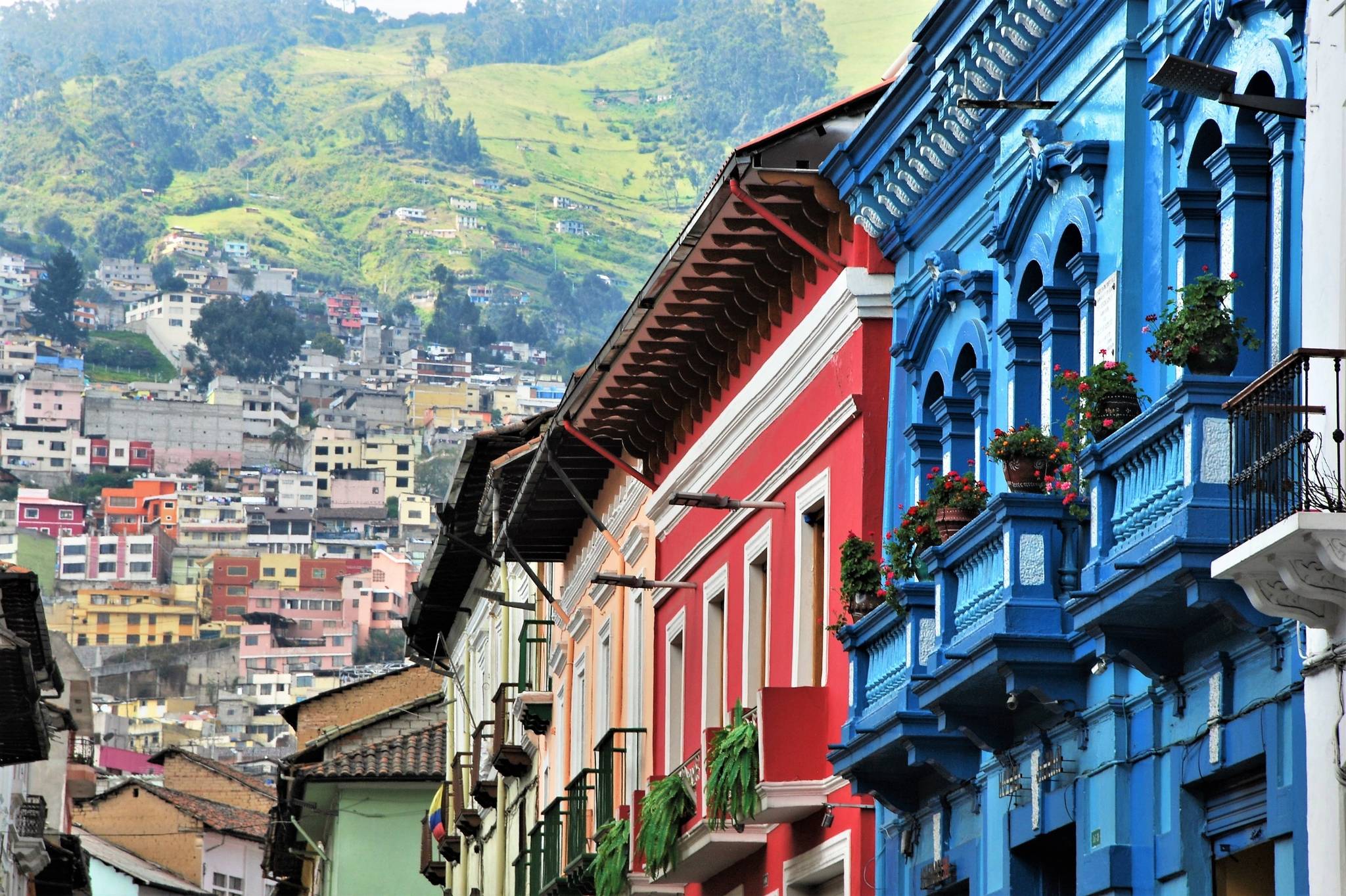 case colorate a quito