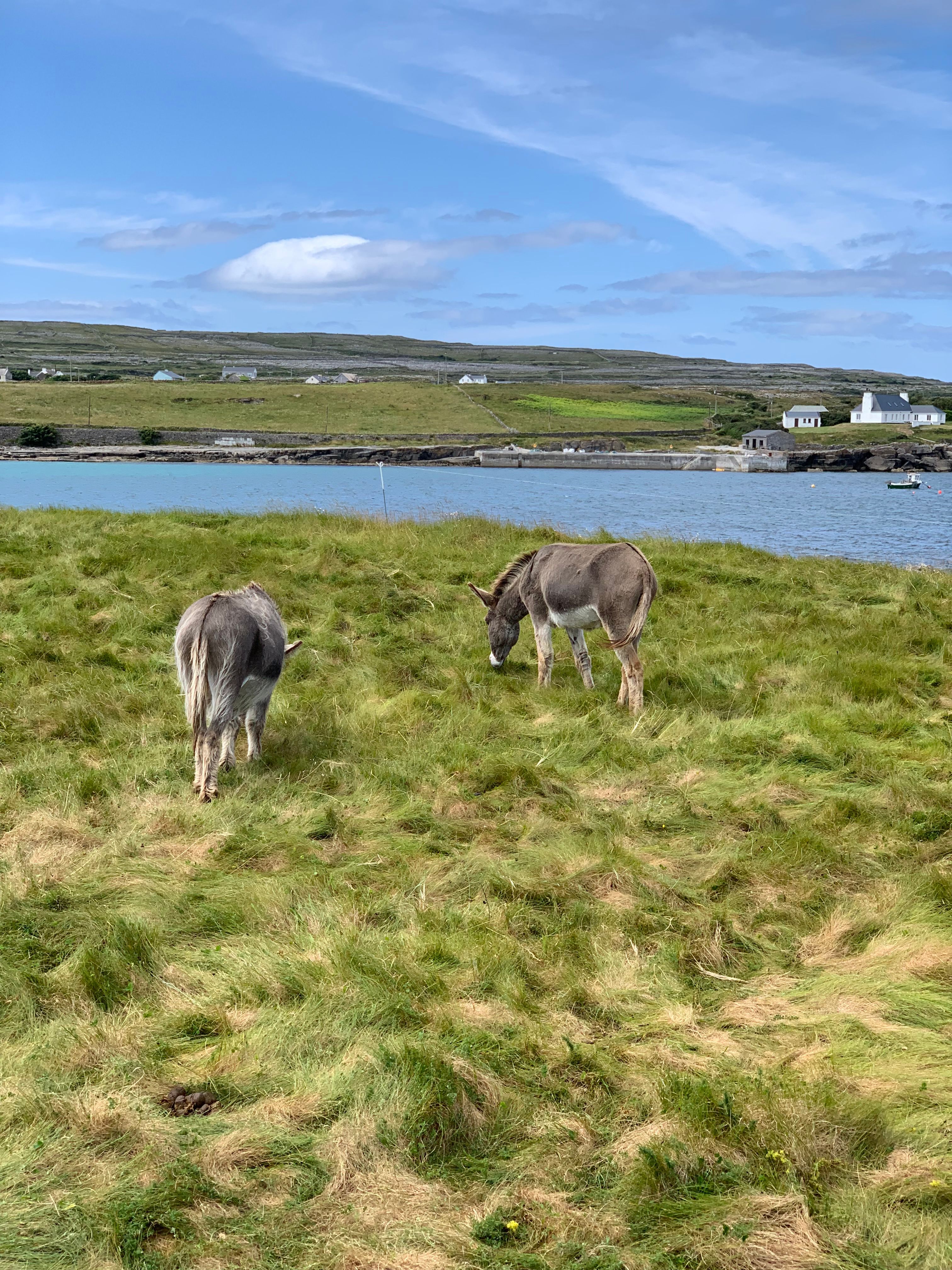 isola di inishmore irlanda