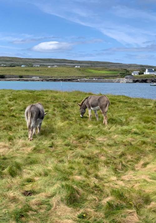 isola di inishmore irlanda