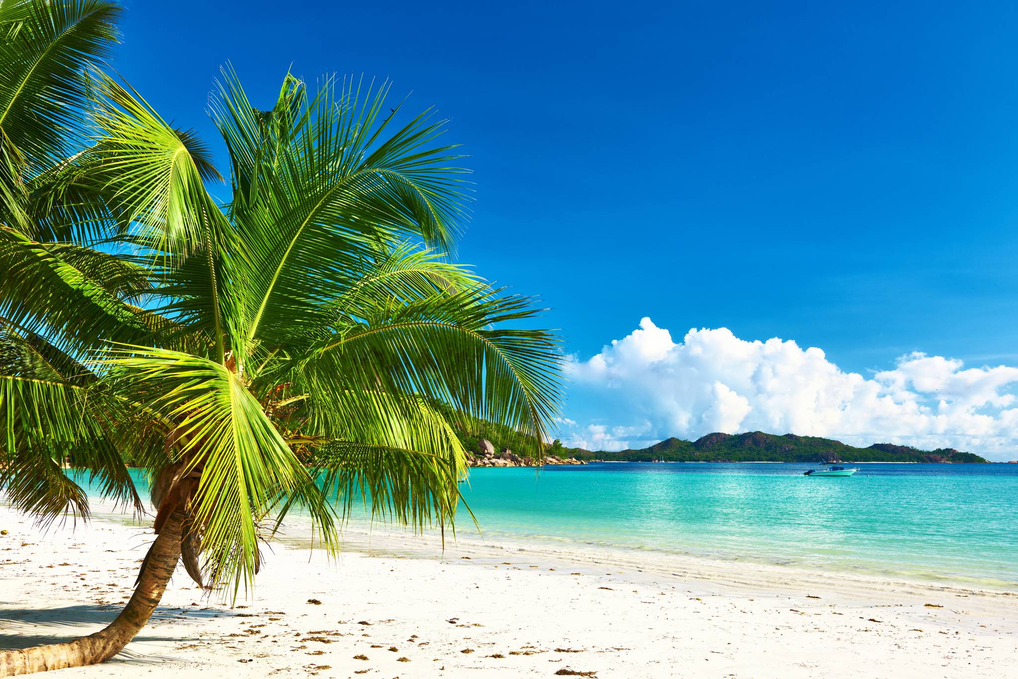 praslin seychelles spiaggia