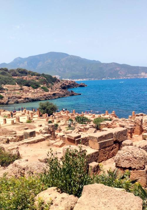 tipaza