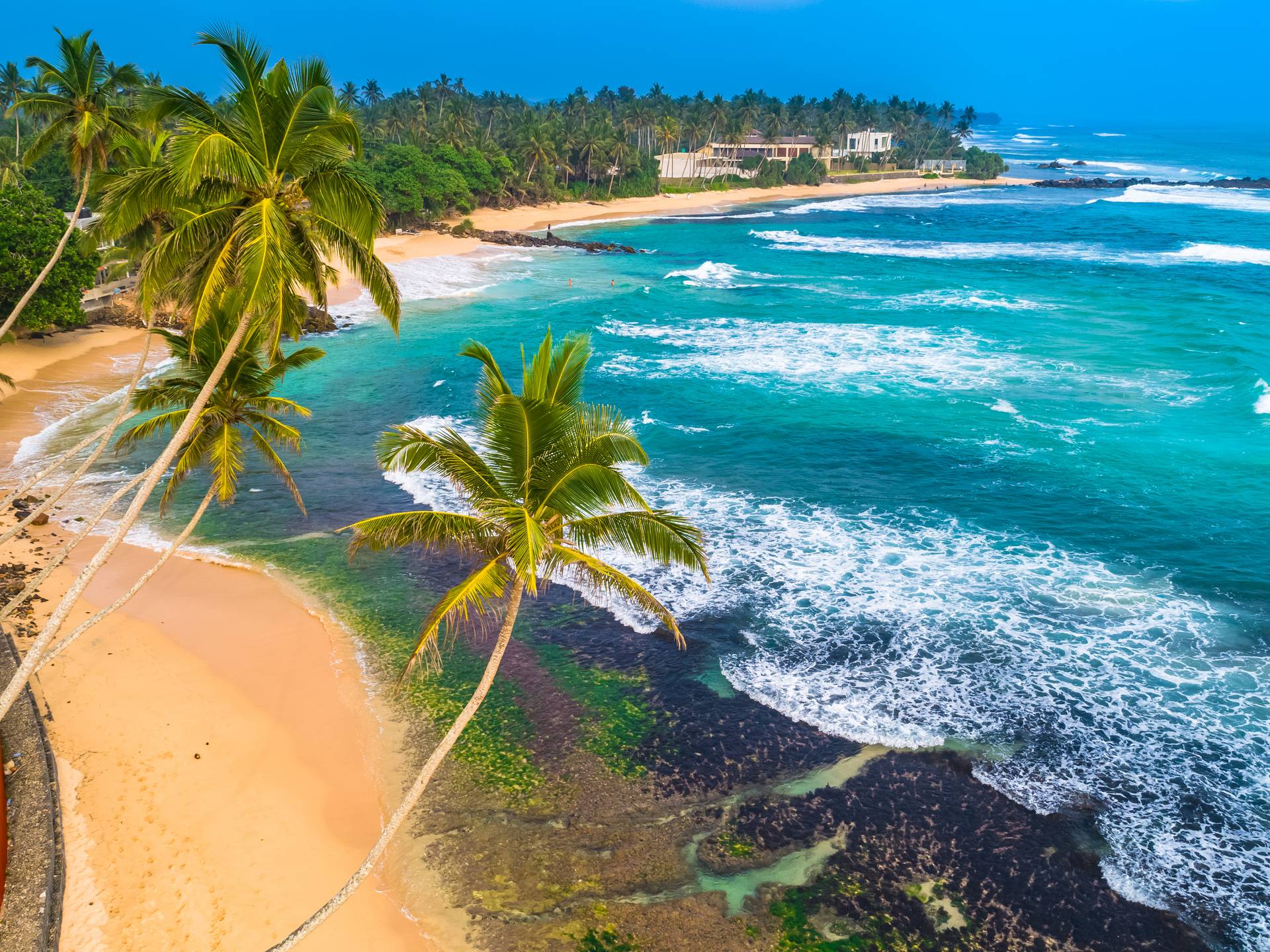 Discovering Sri Lanka cover