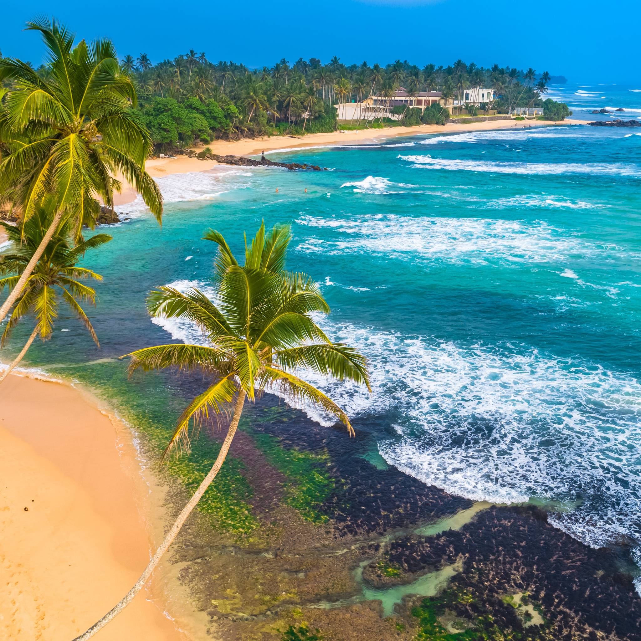 Alla scoperta dello Sri Lanka
