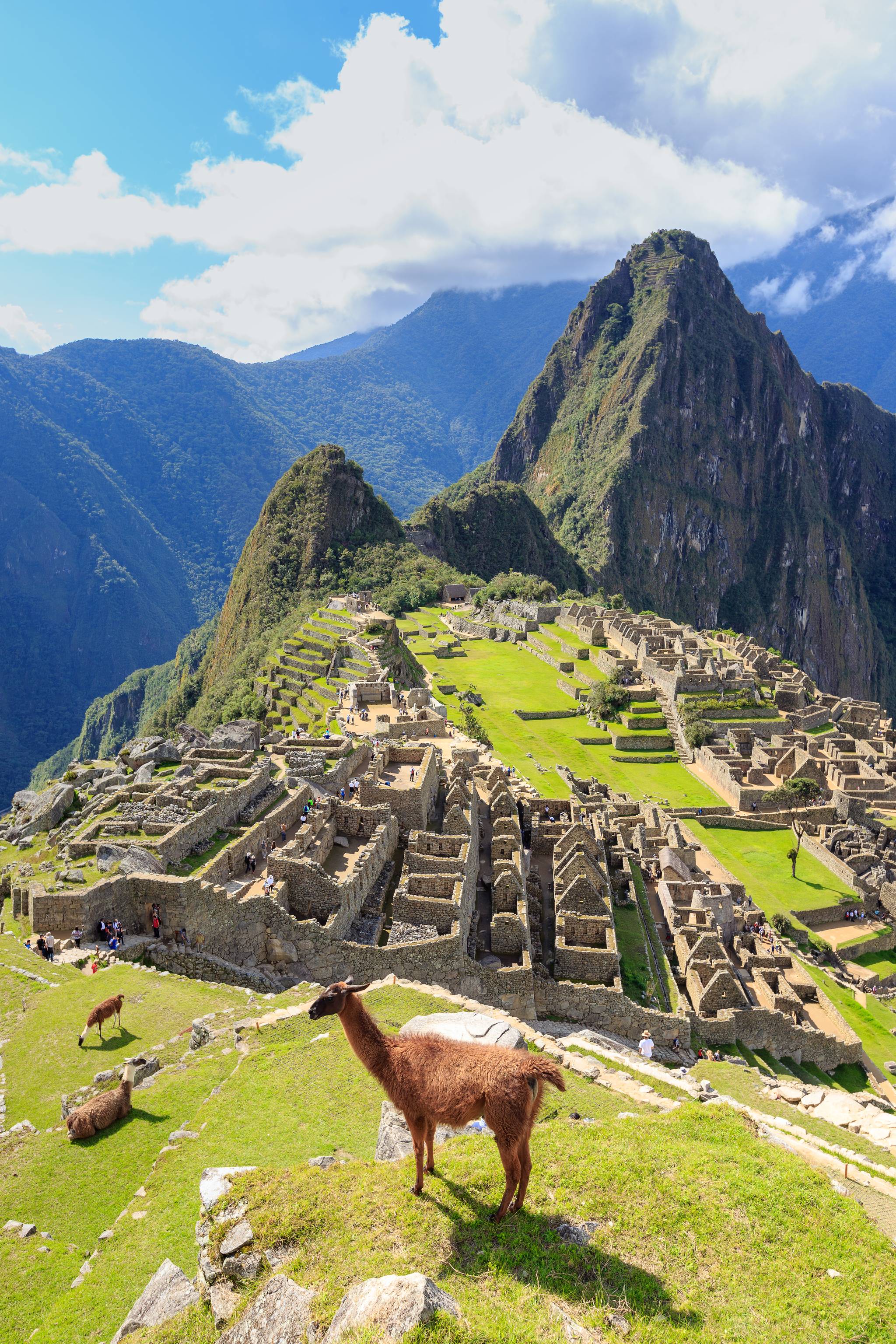 machu pichu