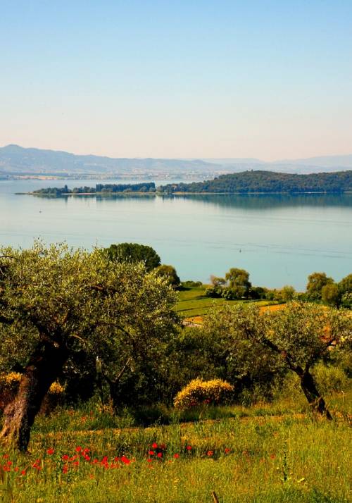 lake trasimeno