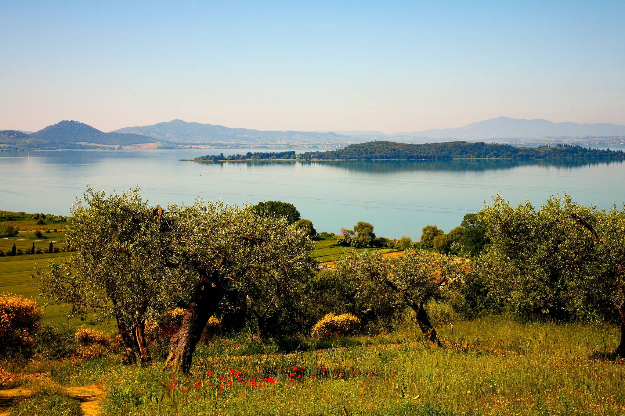 lake trasimeno