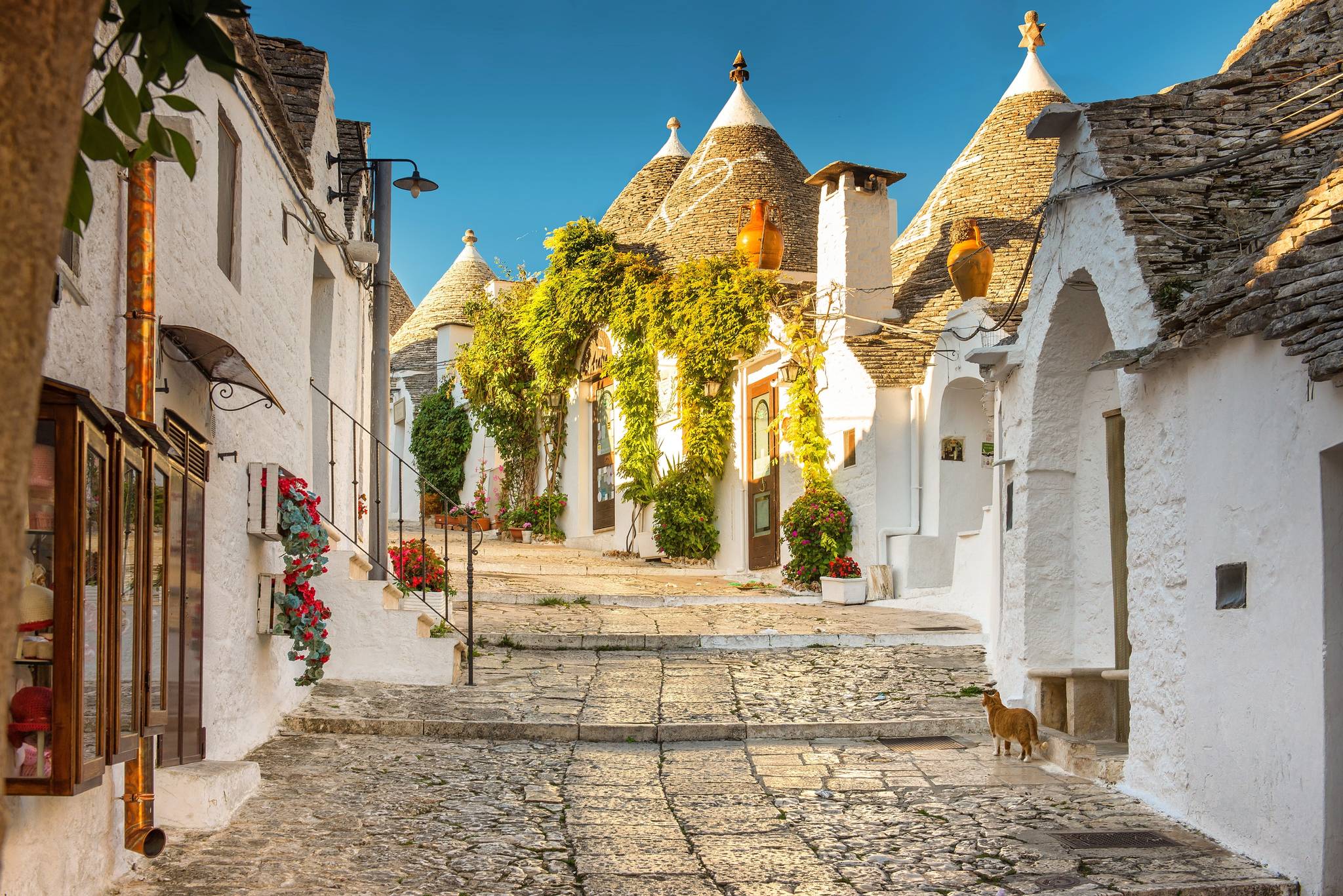 guided tour of the trulli of alberobello