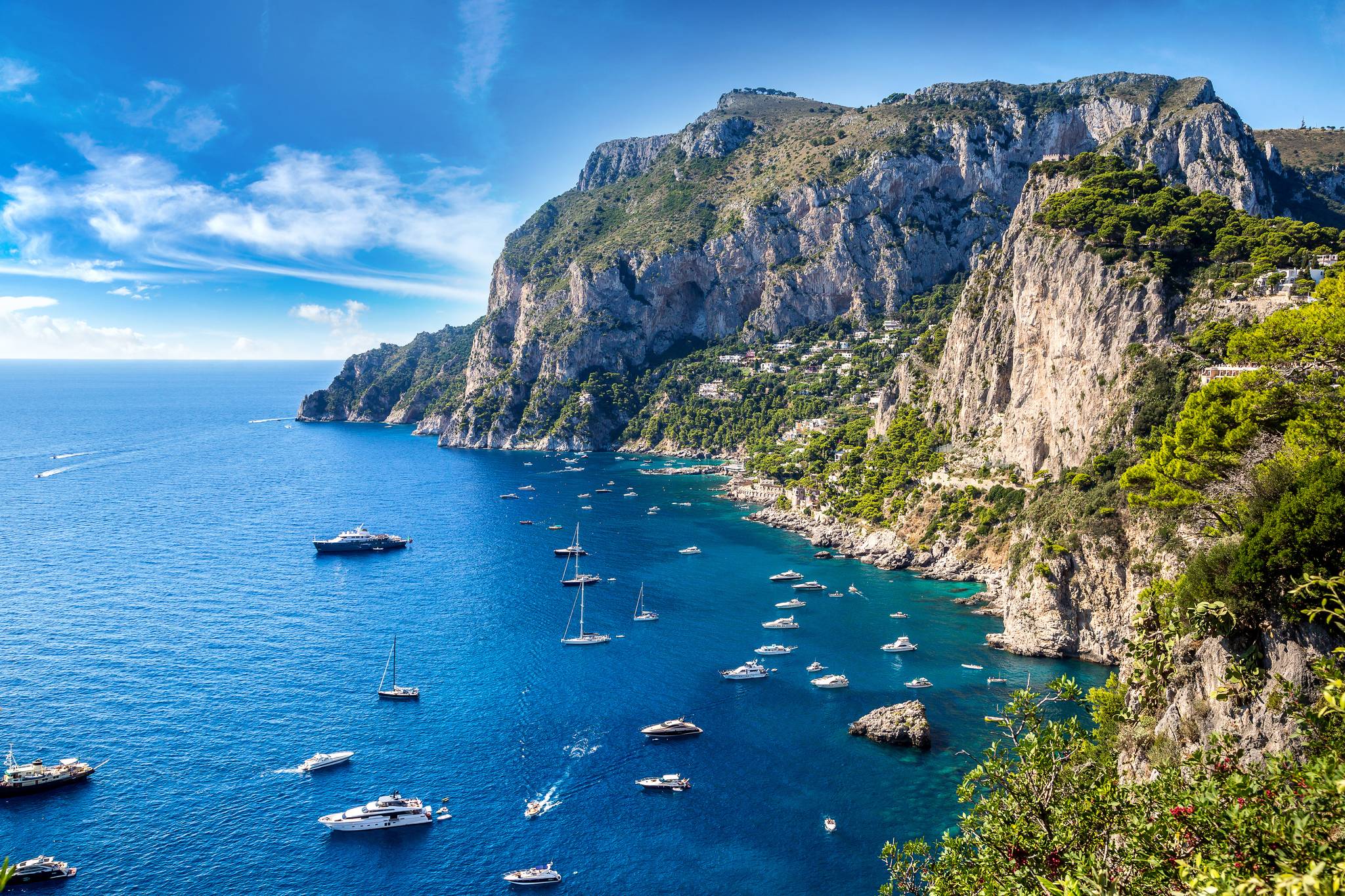 scogliere e mare di capri