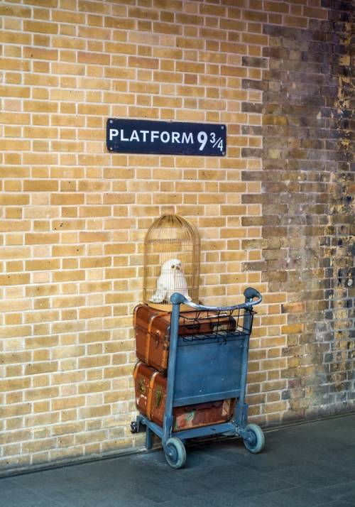 carrello harry potter binario stazione king cross