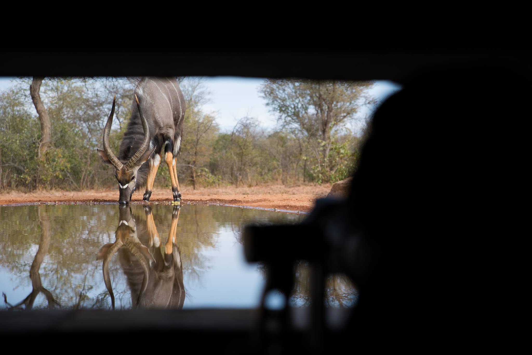 karongwe reserve