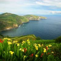 Wild Portogallo: Avventura nelle Isole Azzorre