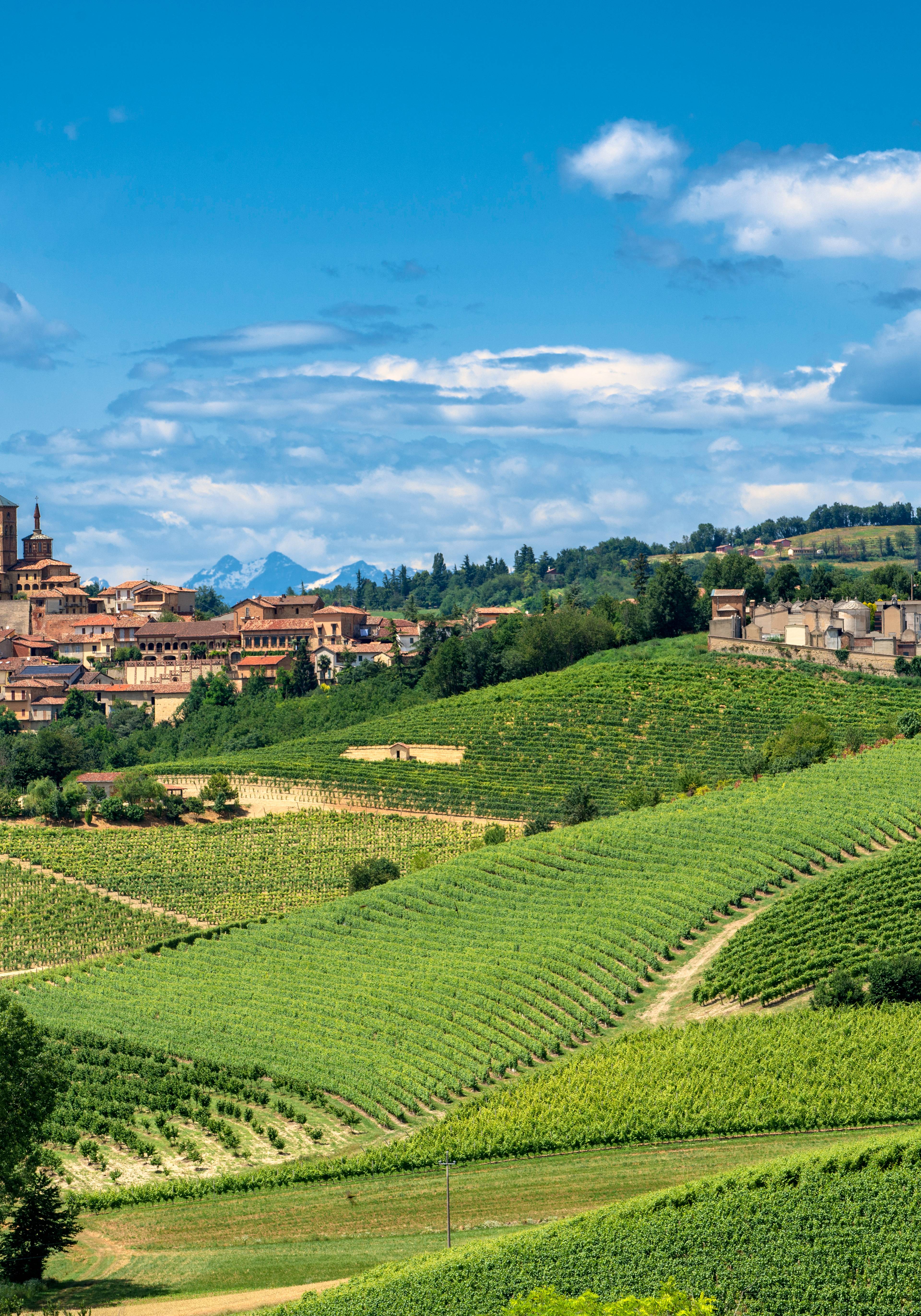 paese tra le colline vitivinicole del monferrato