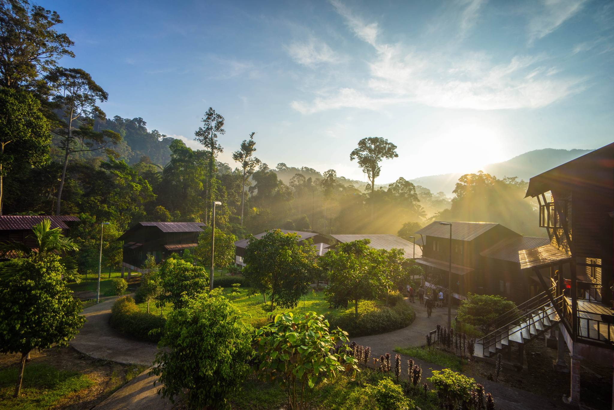 taman negara