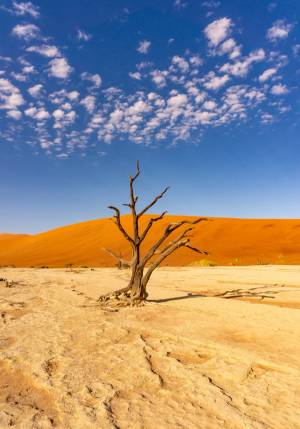 deserto del namib