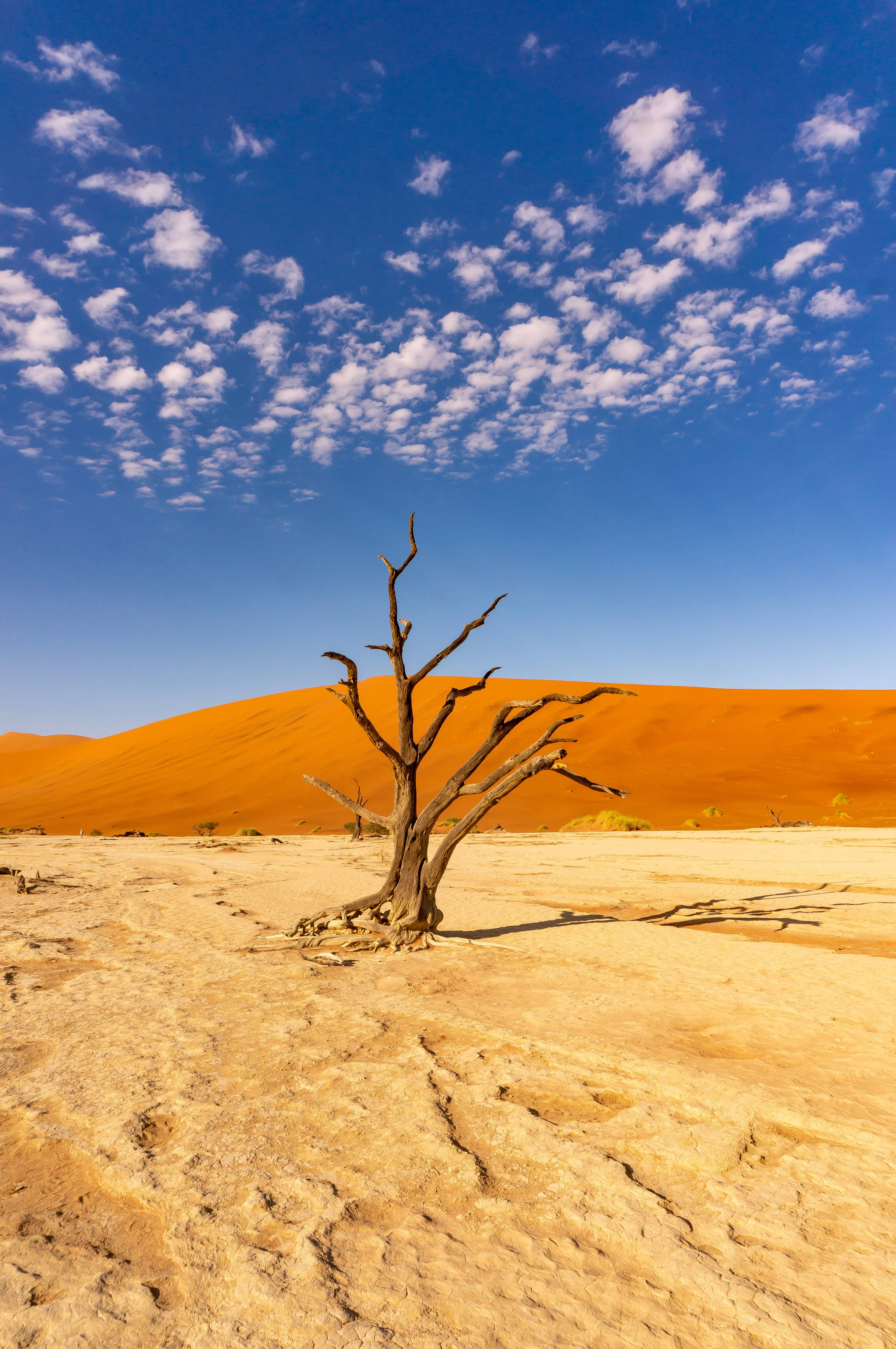 deserto della namibia