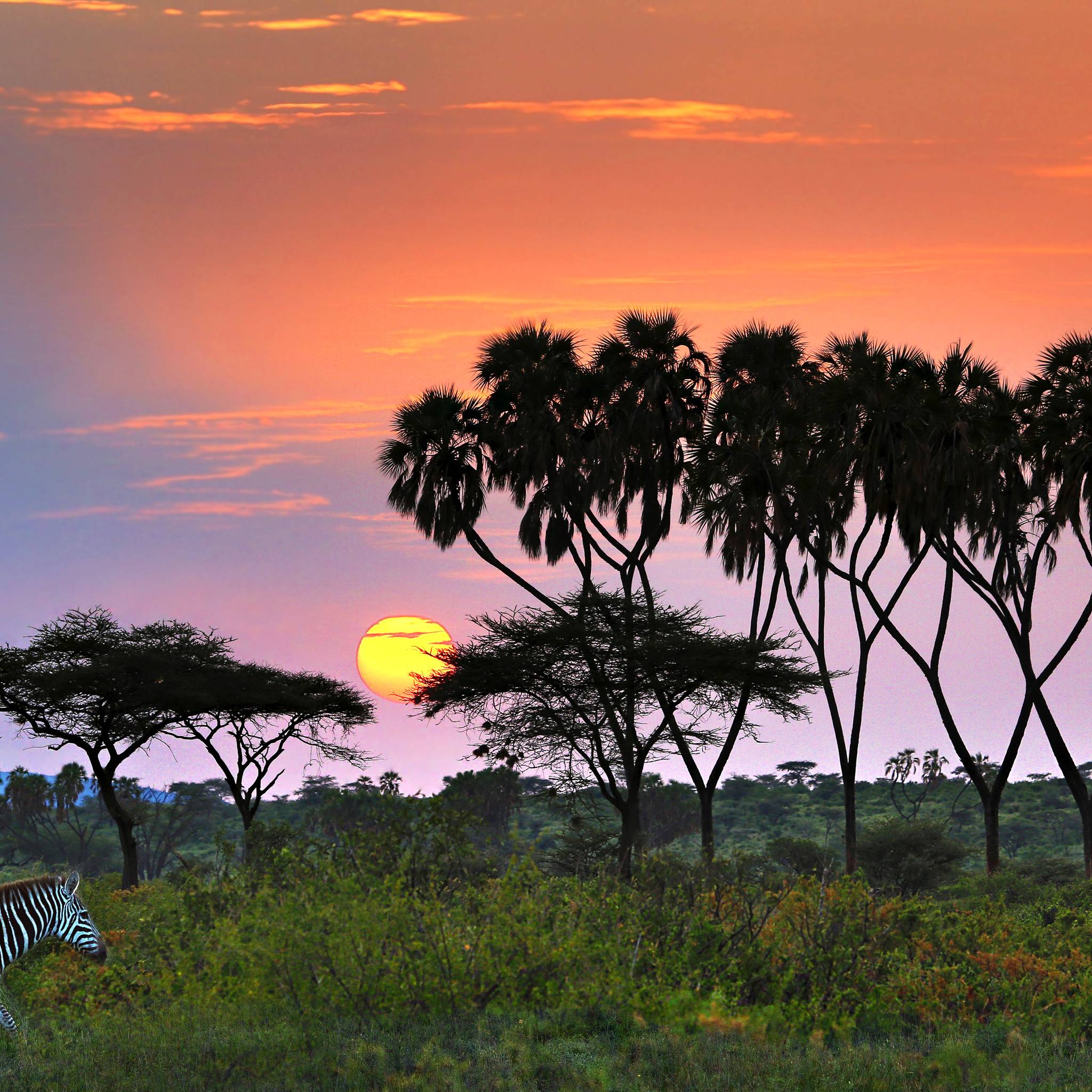 Una settimana in Kenya