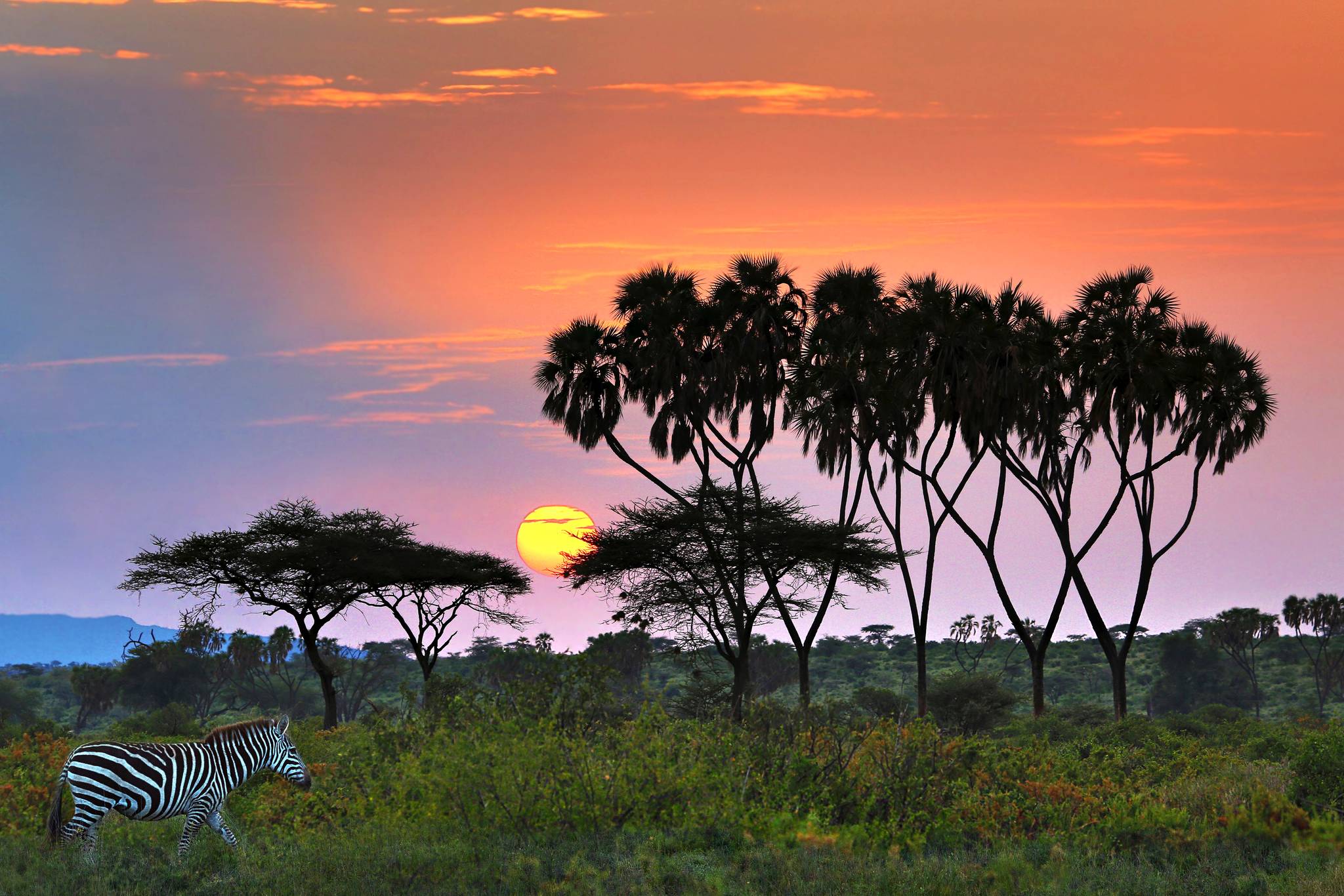 riserva nazionale samburu kenya